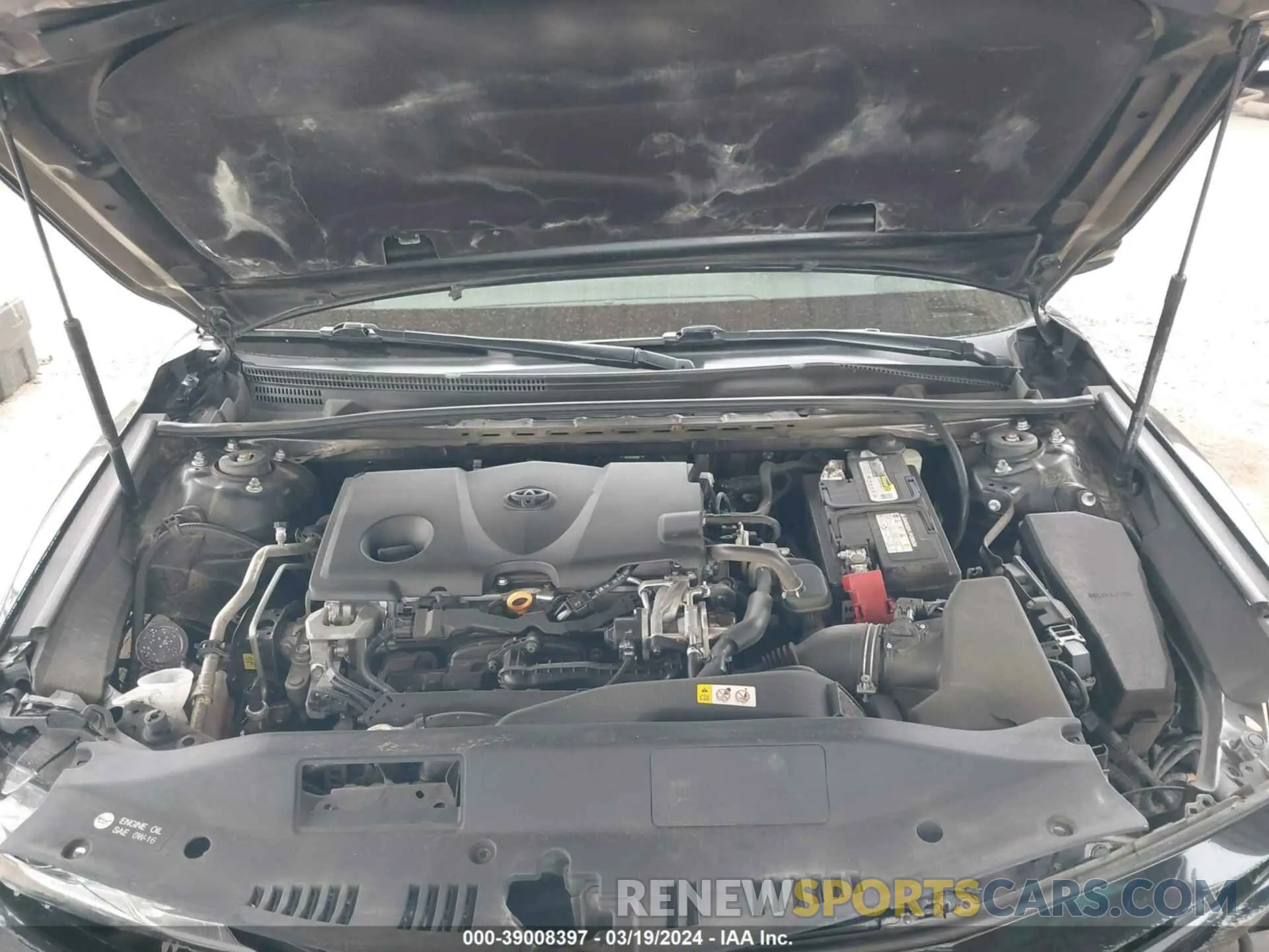 10 fotografías del automóvil dañado 4T1B11HK4KU723696 TOYOTA CAMRY 2019