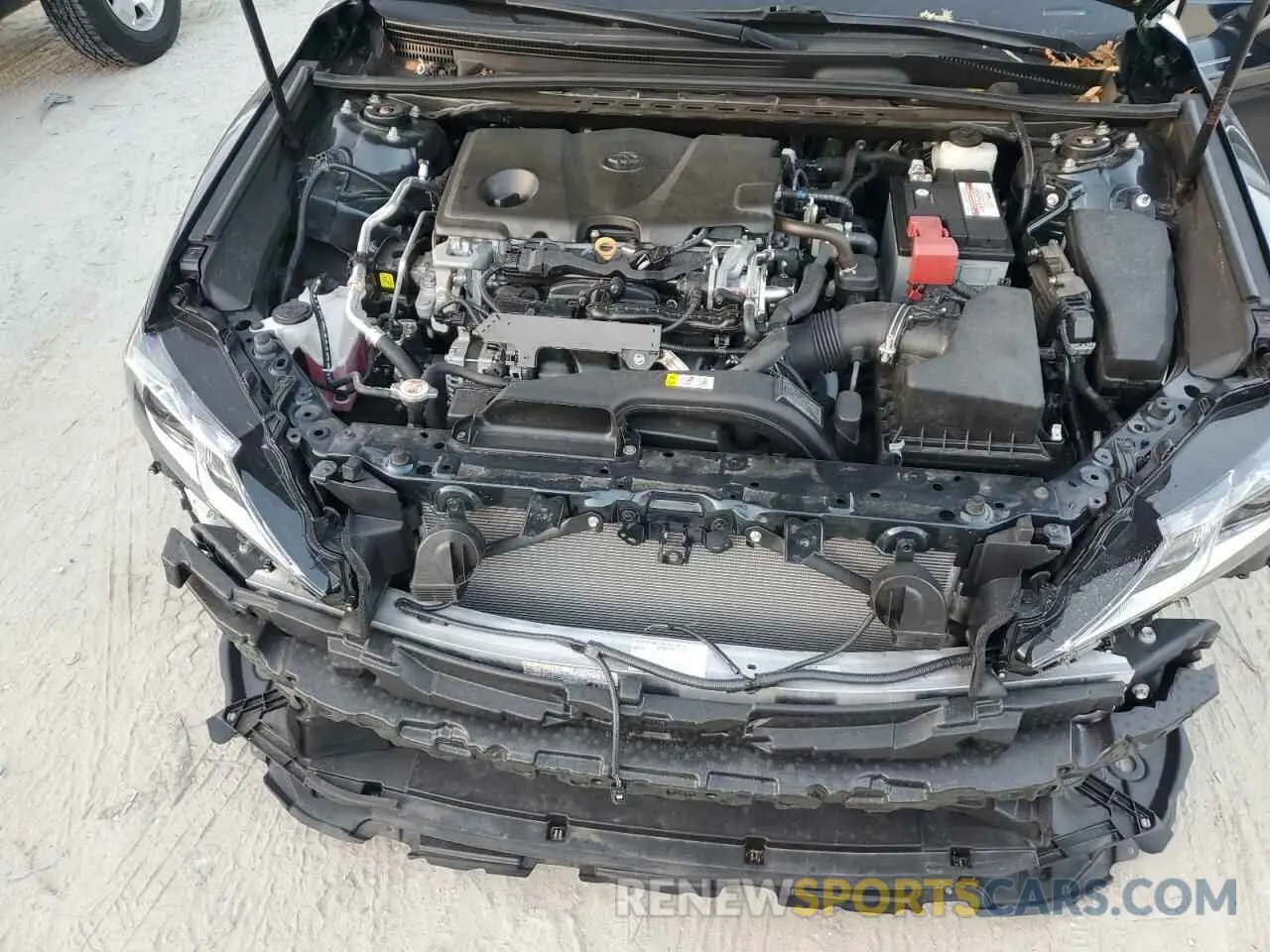 11 fotografías del automóvil dañado 4T1B11HK4KU733290 TOYOTA CAMRY 2019