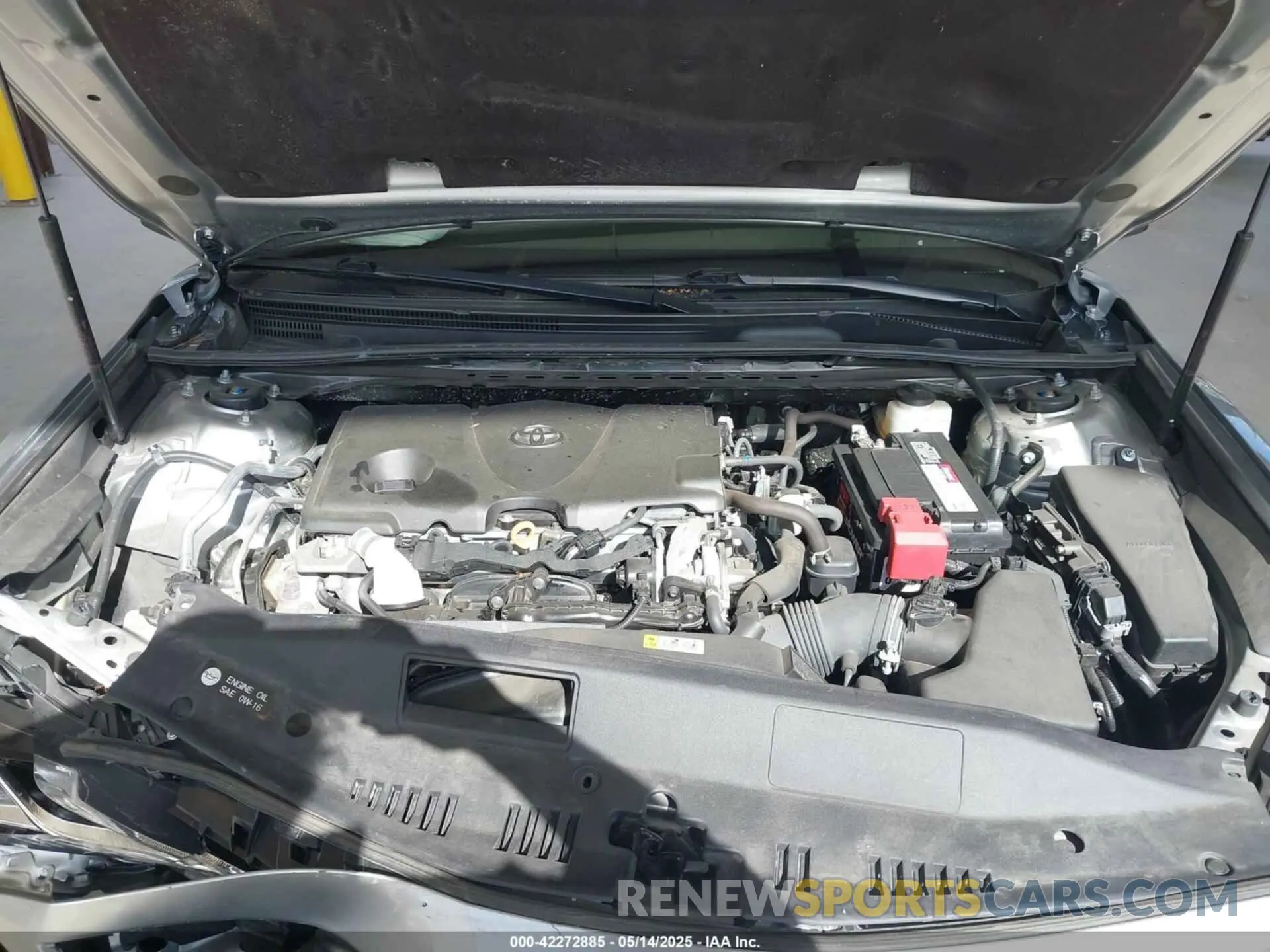 10 fotografías del automóvil dañado 4T1B11HK4KU749358 TOYOTA CAMRY 2019
