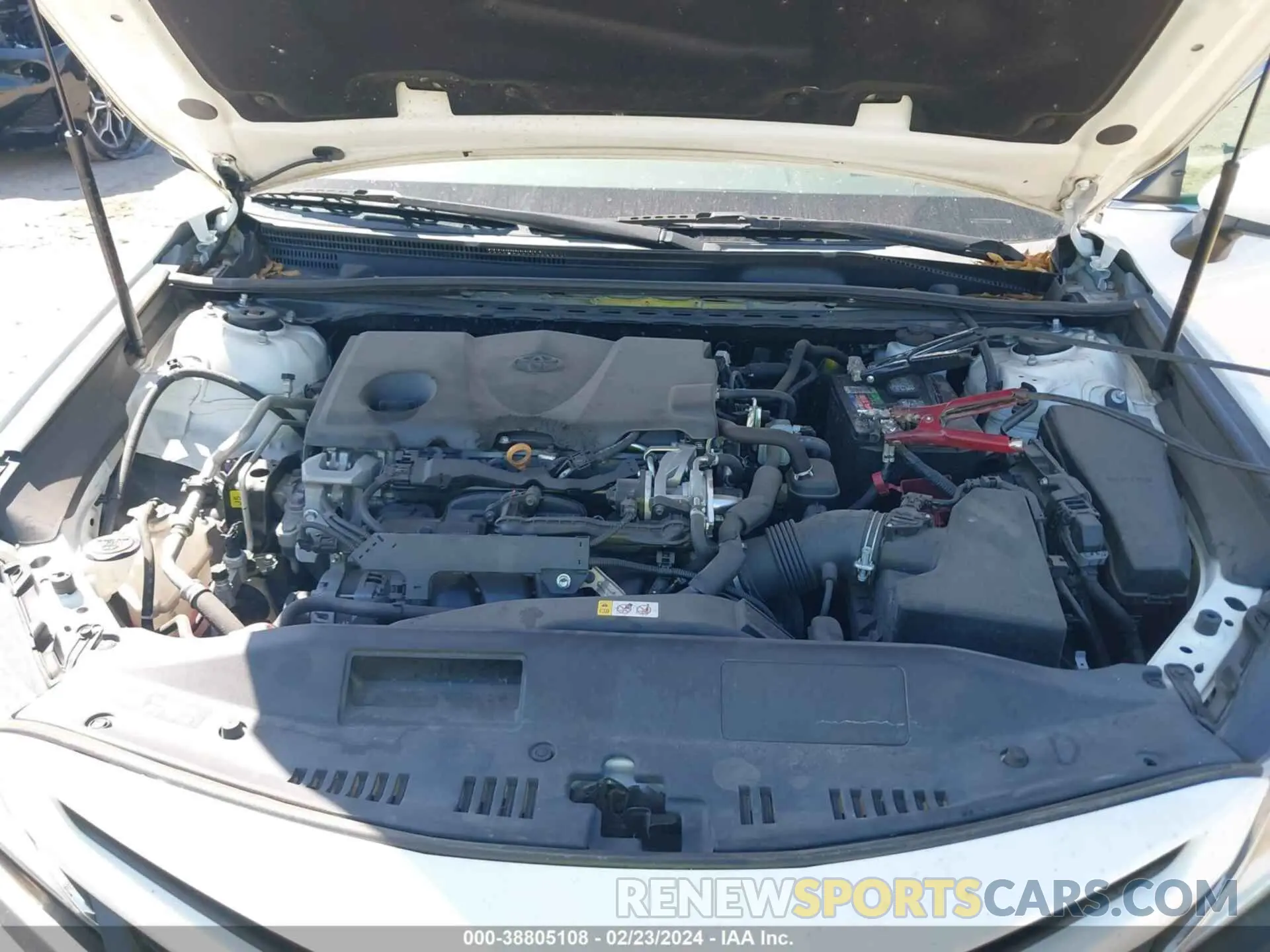 10 fotografías del automóvil dañado 4T1B11HK4KU765141 TOYOTA CAMRY 2019