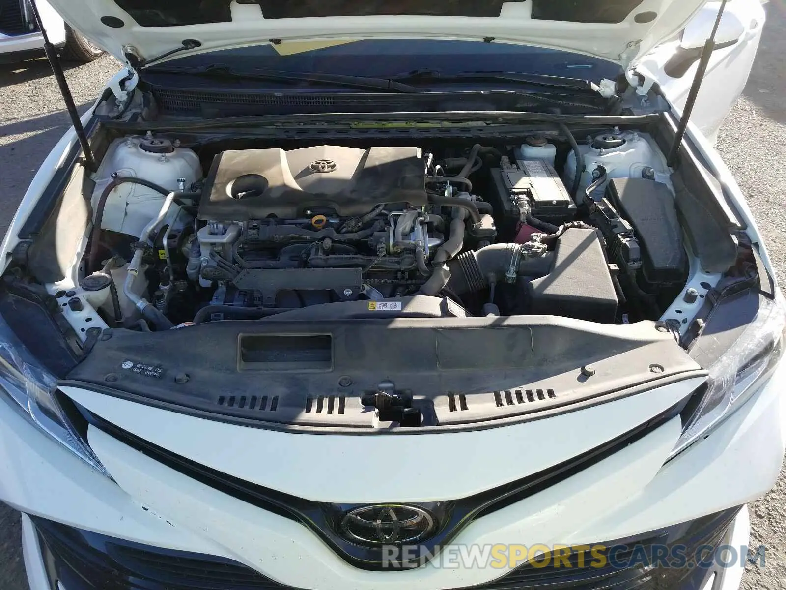 7 fotografías del automóvil dañado 4T1B11HK4KU765687 TOYOTA CAMRY 2019