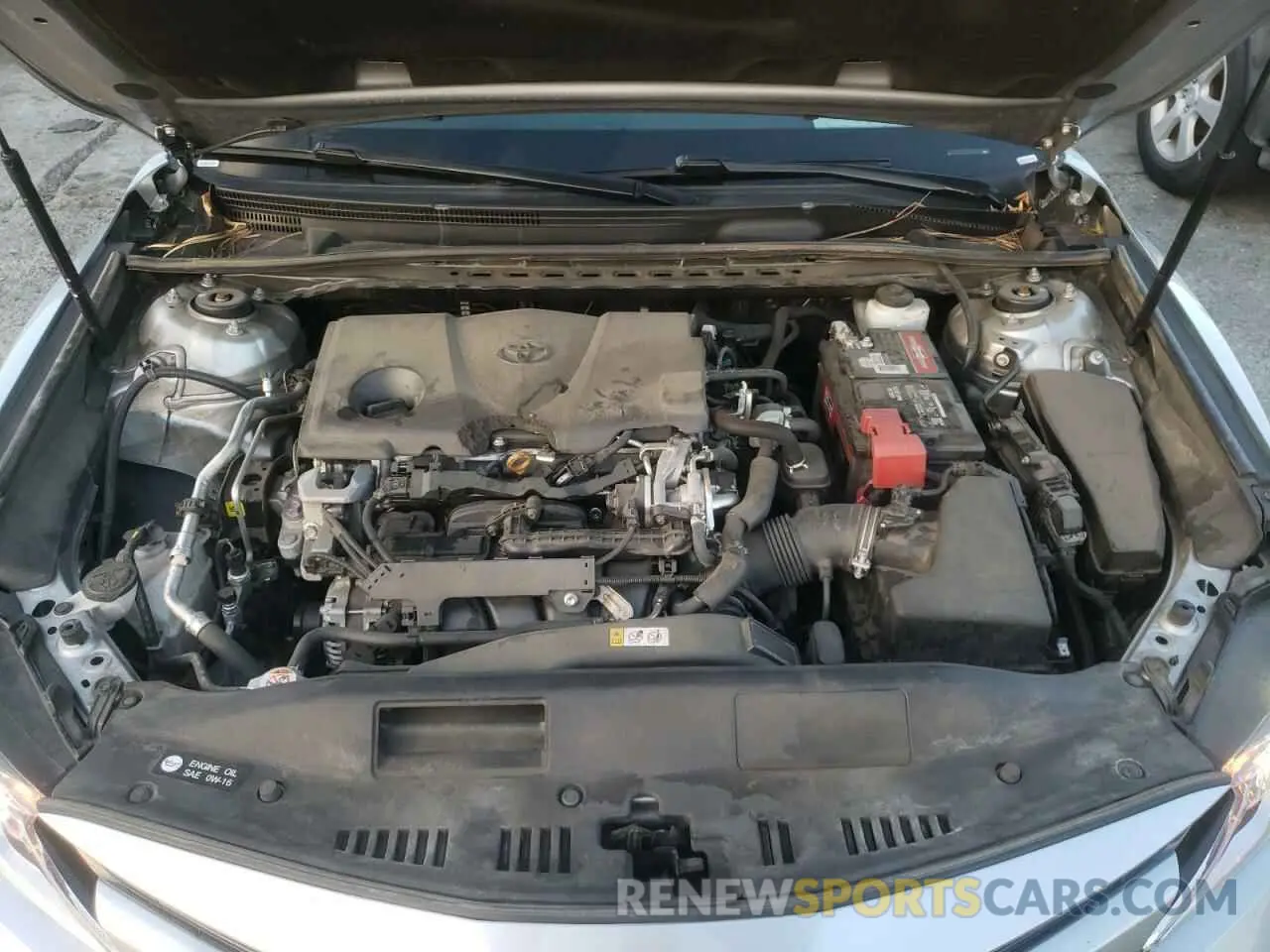 7 fotografías del automóvil dañado 4T1B11HK4KU770145 TOYOTA CAMRY 2019