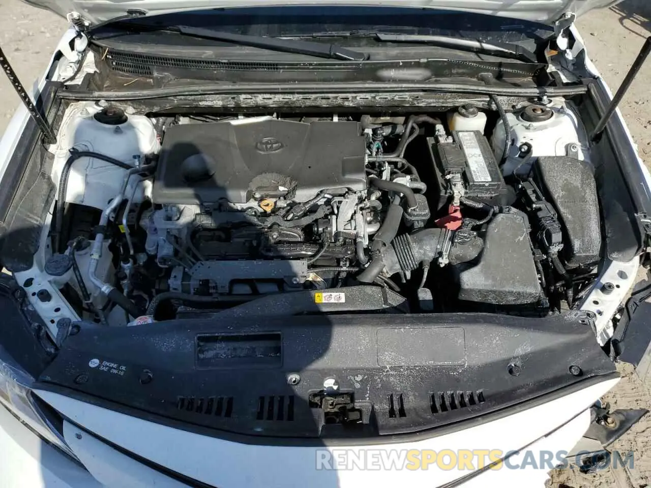 11 fotografías del automóvil dañado 4T1B11HK4KU780934 TOYOTA CAMRY 2019