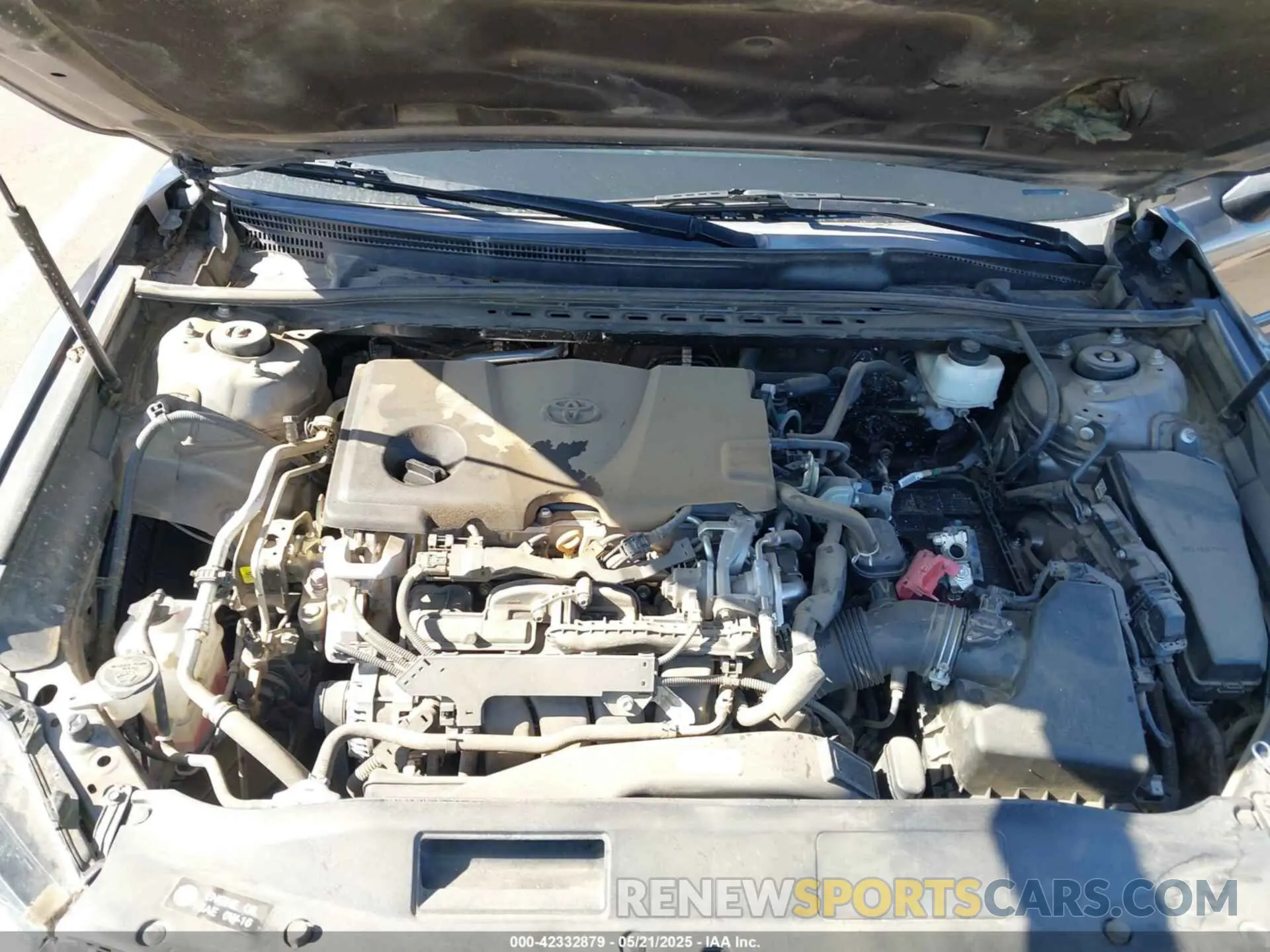10 fotografías del automóvil dañado 4T1B11HK4KU781985 TOYOTA CAMRY 2019
