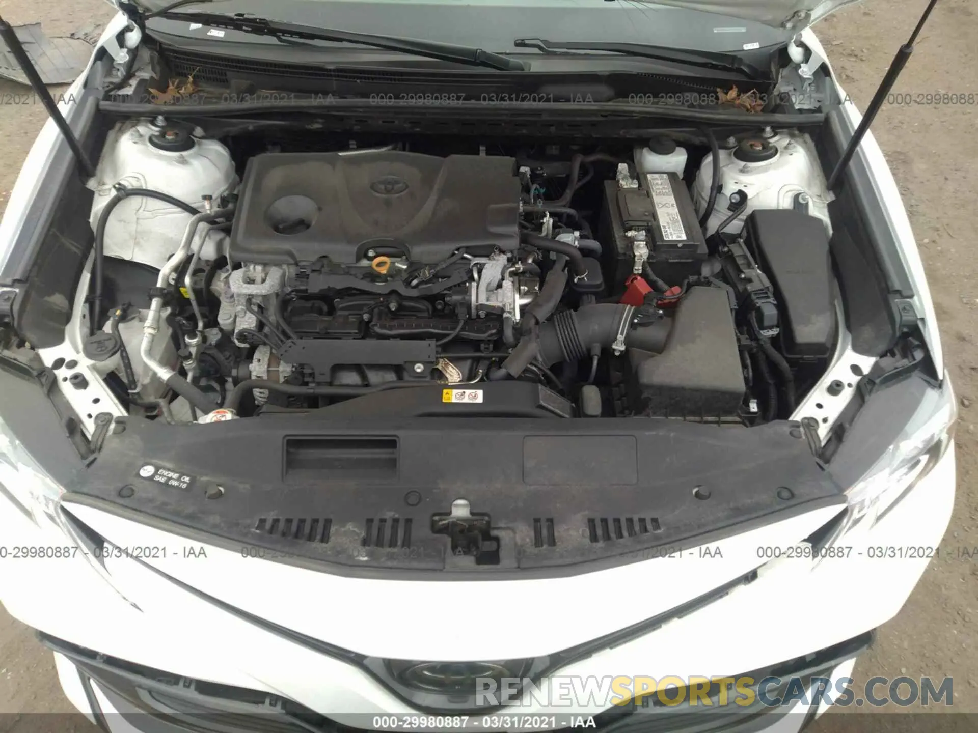 10 fotografías del automóvil dañado 4T1B11HK4KU794493 TOYOTA CAMRY 2019