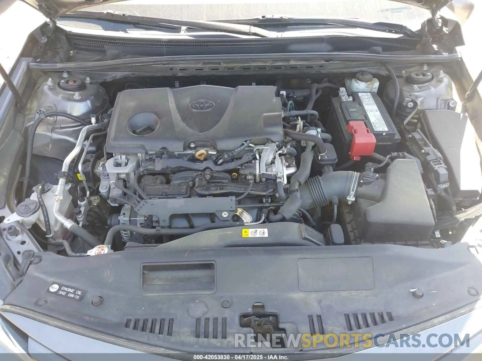 10 fotografías del automóvil dañado 4T1B11HK4KU797720 TOYOTA CAMRY 2019