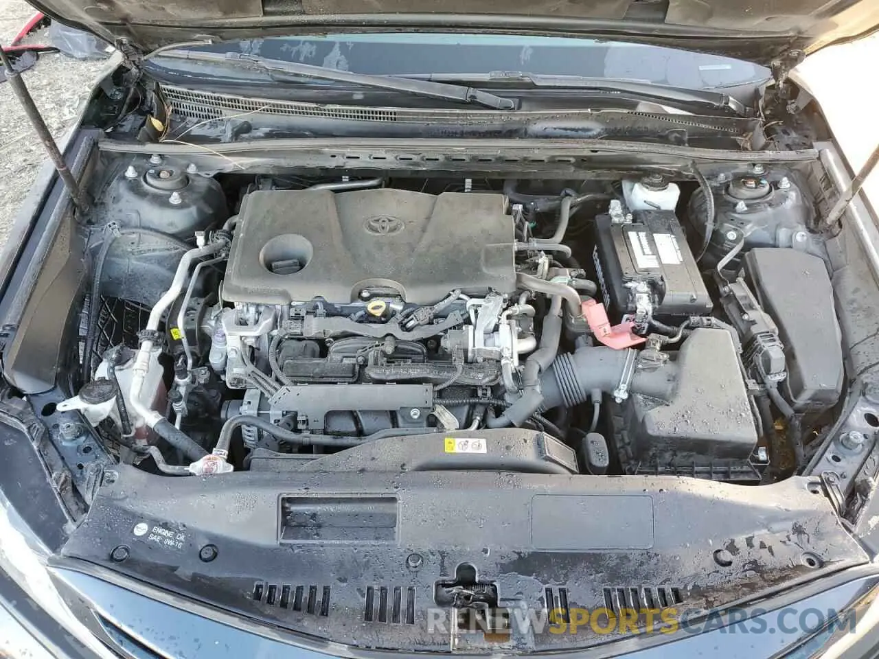 11 fotografías del automóvil dañado 4T1B11HK4KU807131 TOYOTA CAMRY 2019