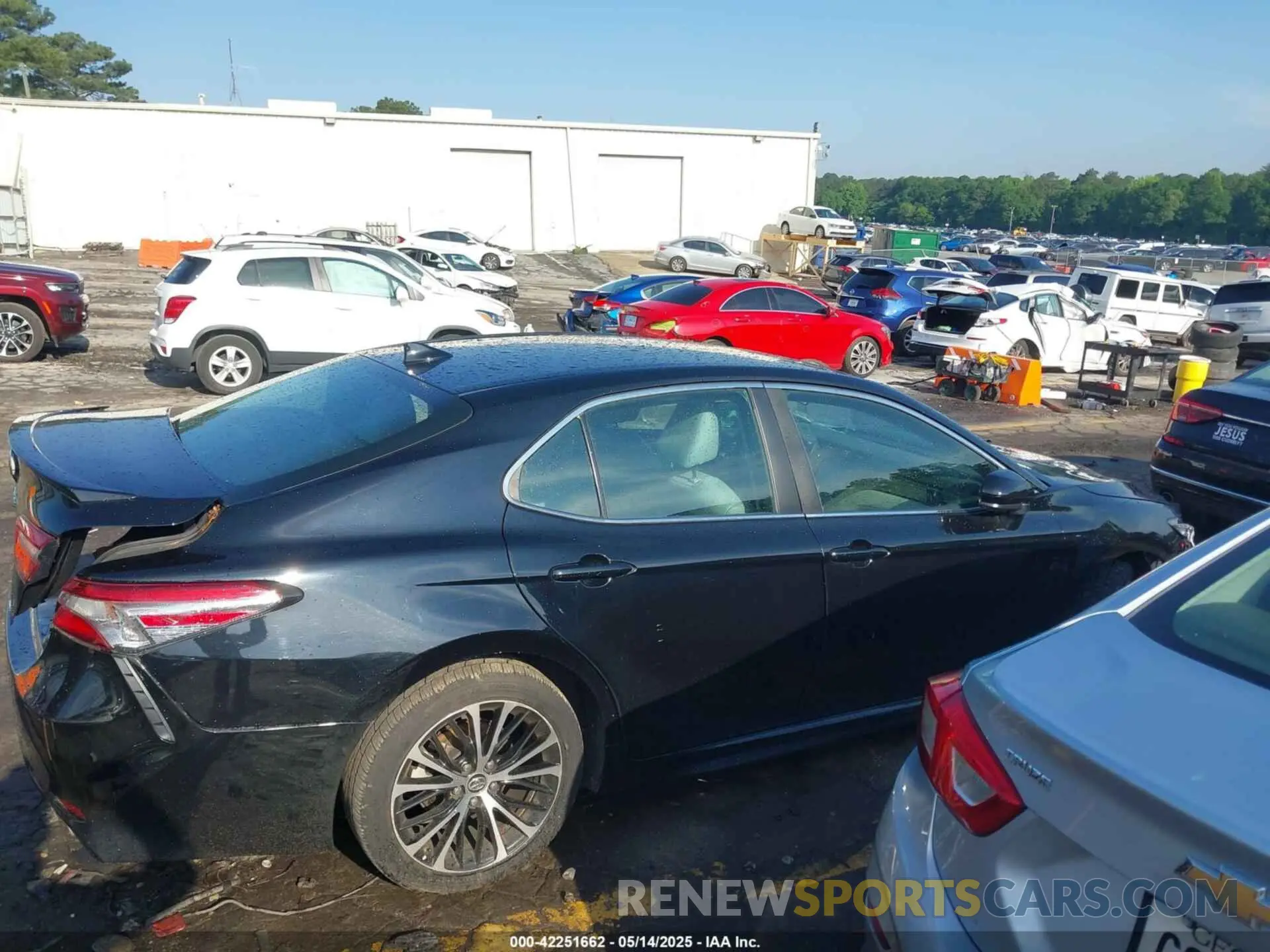 13 fotografías del automóvil dañado 4T1B11HK4KU807730 TOYOTA CAMRY 2019