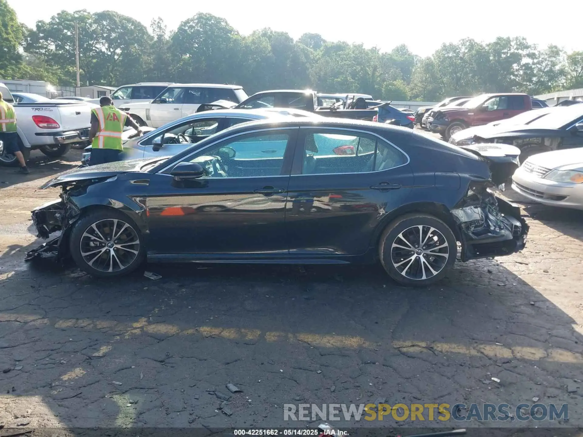 14 fotografías del automóvil dañado 4T1B11HK4KU807730 TOYOTA CAMRY 2019