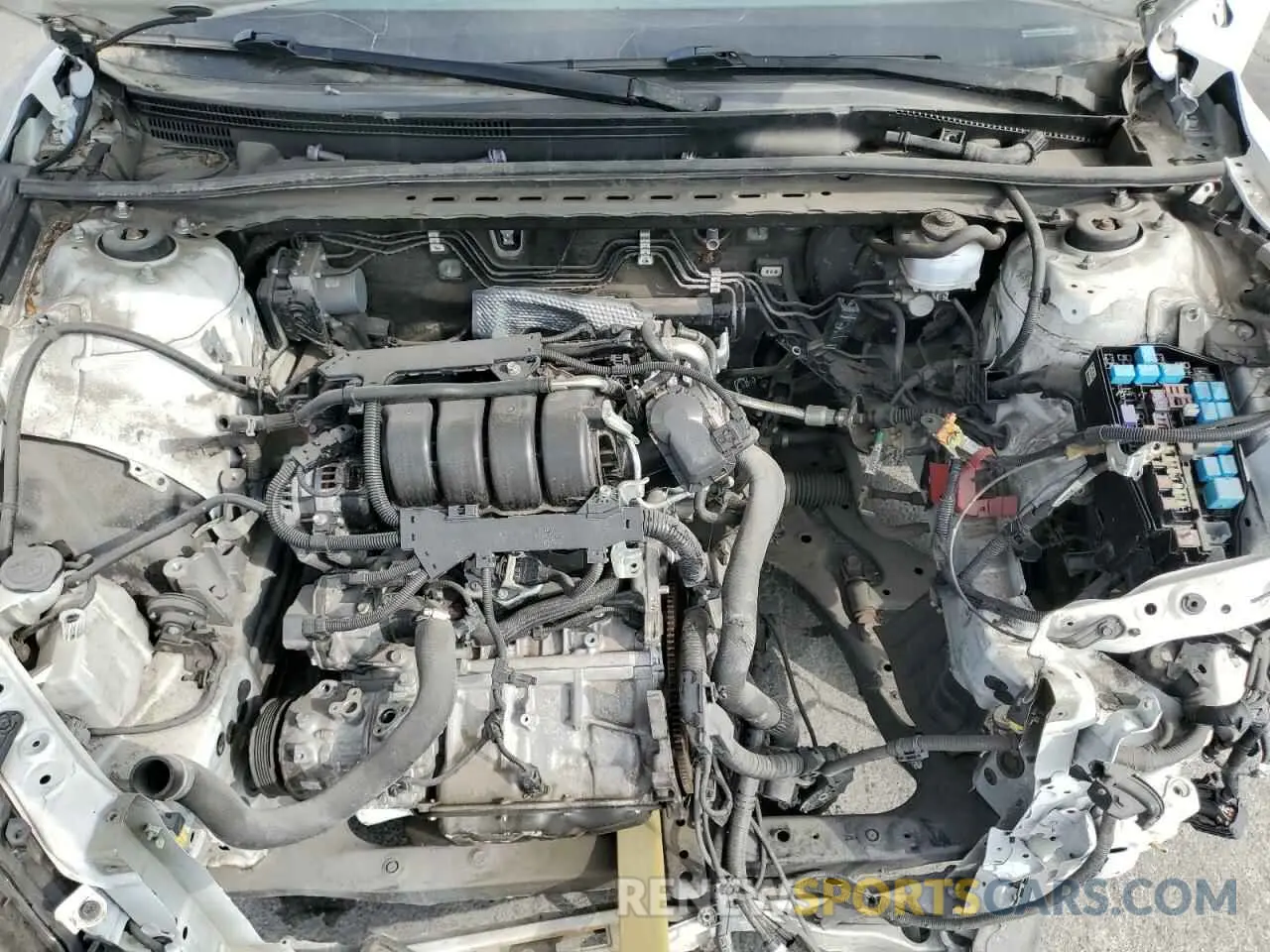 11 fotografías del automóvil dañado 4T1B11HK4KU812880 TOYOTA CAMRY 2019