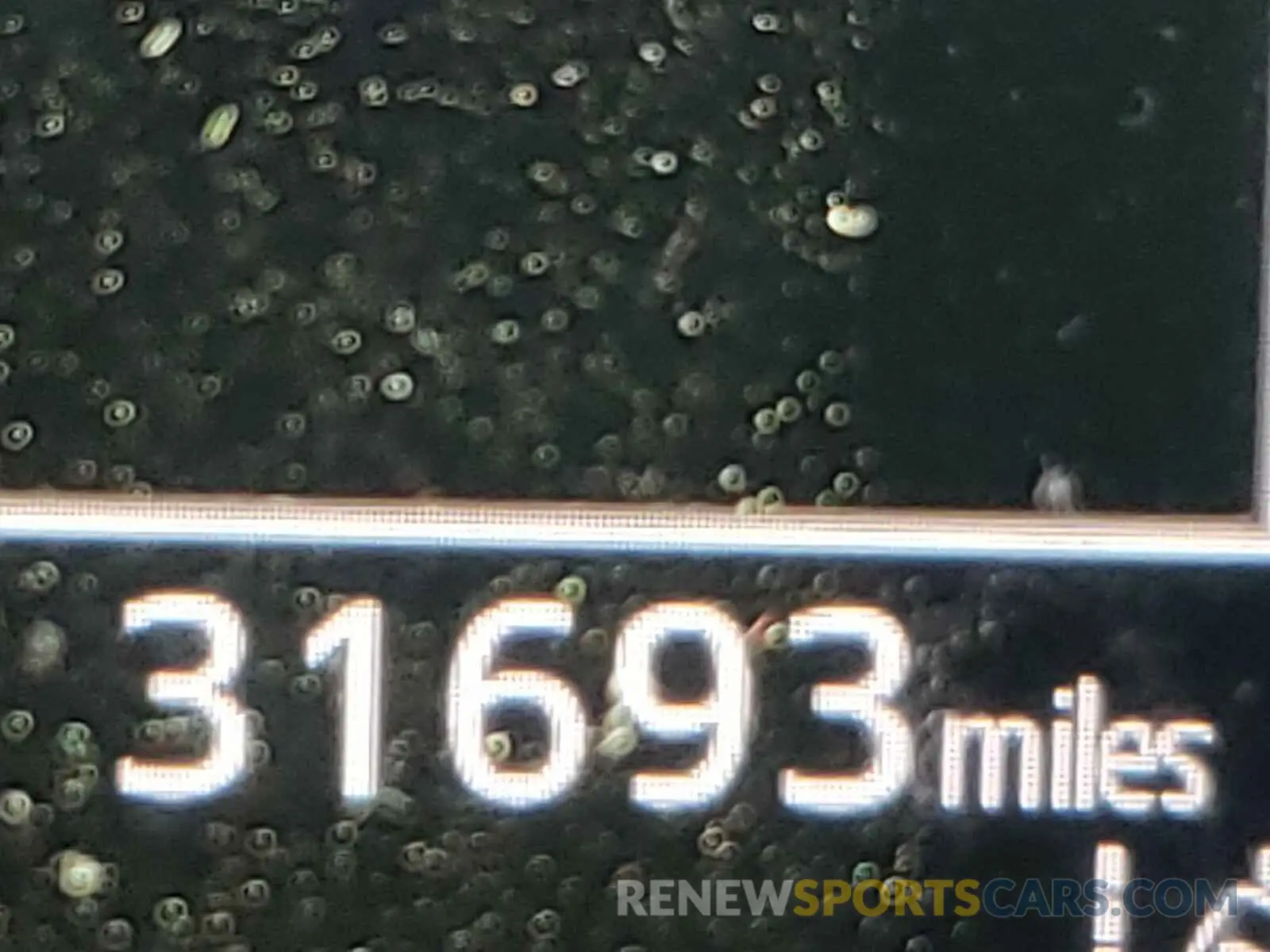 8 fotografías del automóvil dañado 4T1B11HK4KU826584 TOYOTA CAMRY 2019