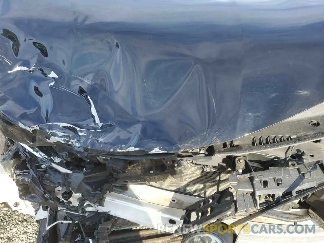 11 fotografías del automóvil dañado 4T1B11HK4KU837939 TOYOTA CAMRY 2019