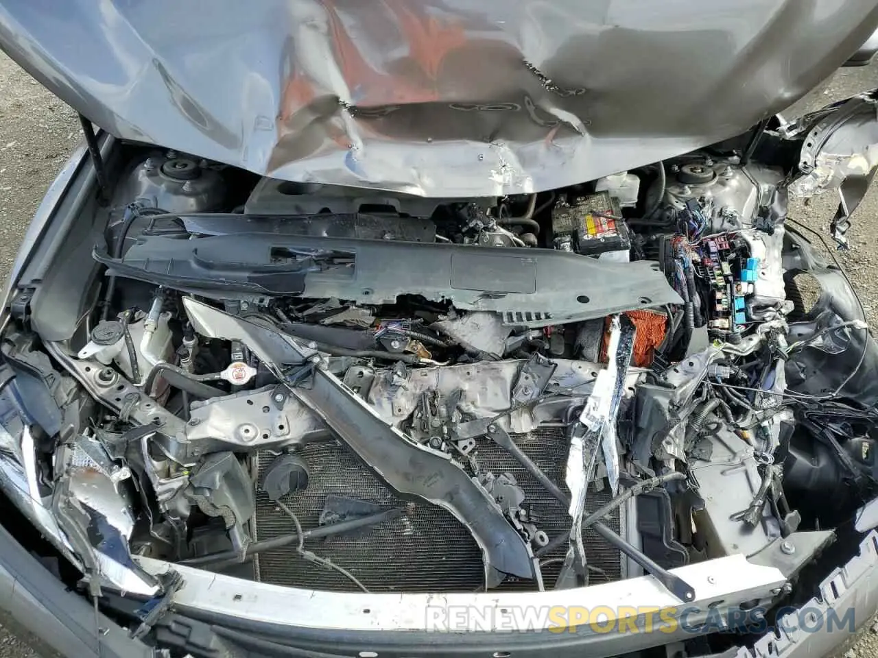 11 fotografías del automóvil dañado 4T1B11HK4KU845538 TOYOTA CAMRY 2019
