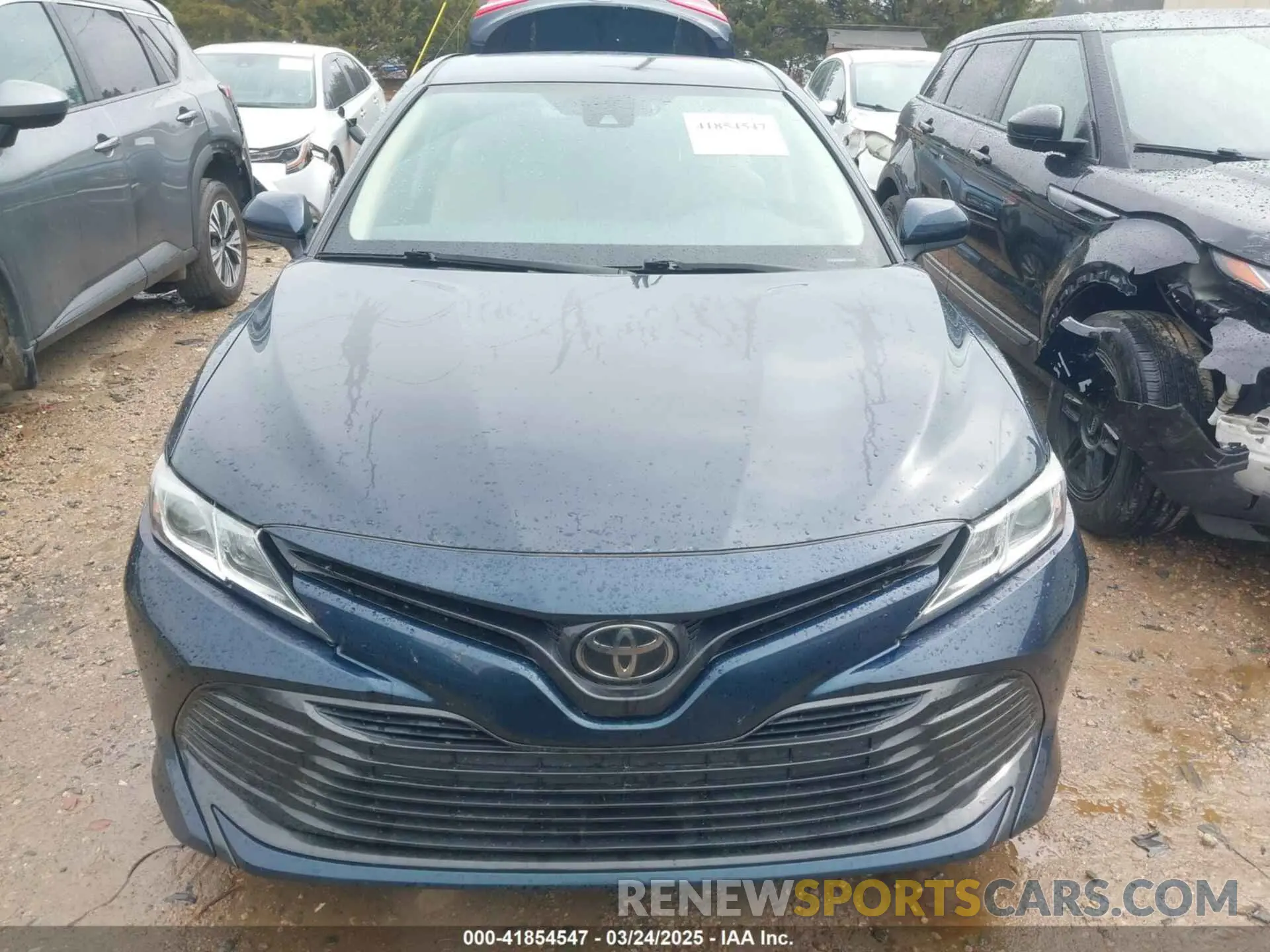 12 fotografías del automóvil dañado 4T1B11HK4KU848696 TOYOTA CAMRY 2019