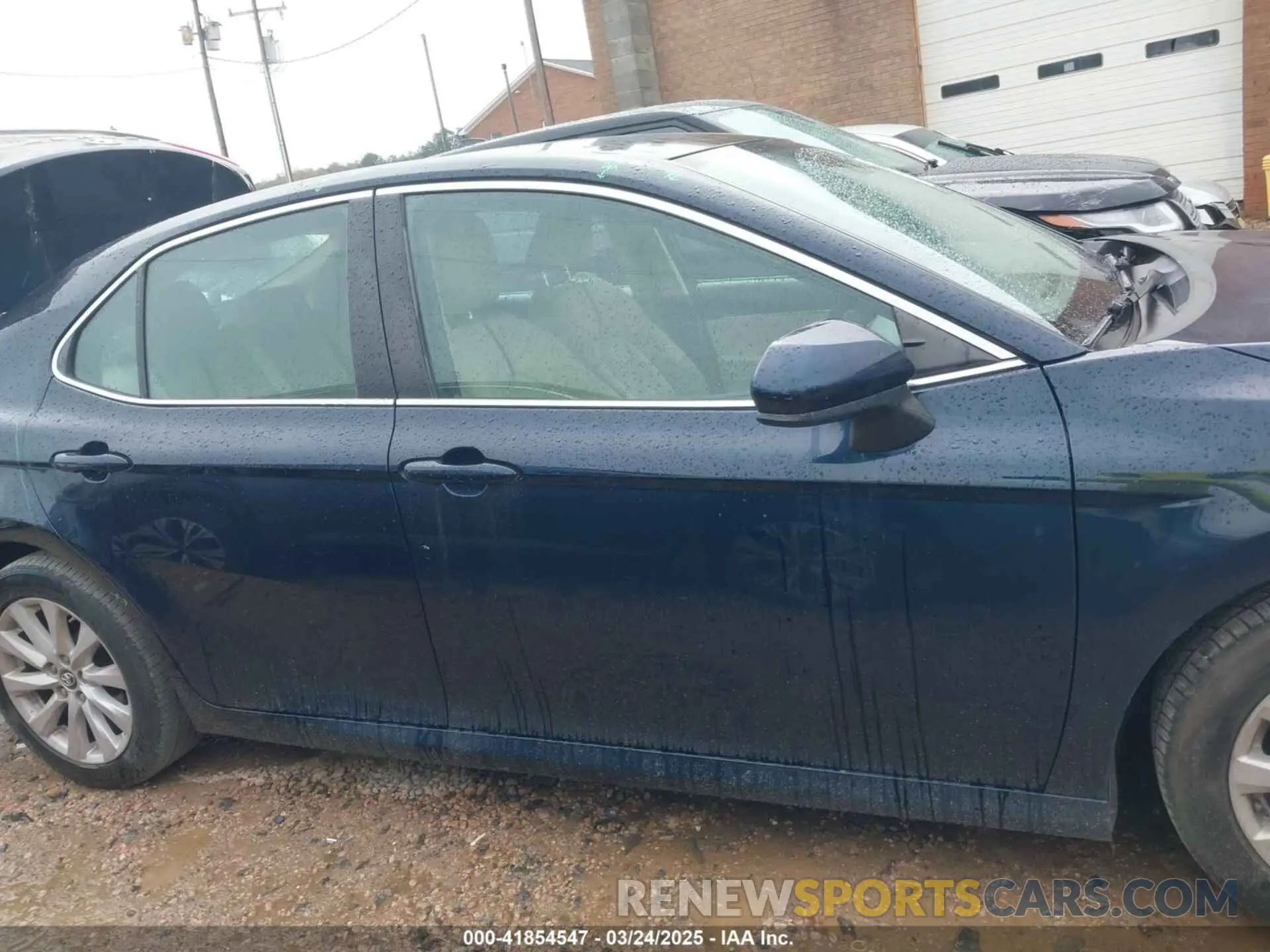 13 fotografías del automóvil dañado 4T1B11HK4KU848696 TOYOTA CAMRY 2019