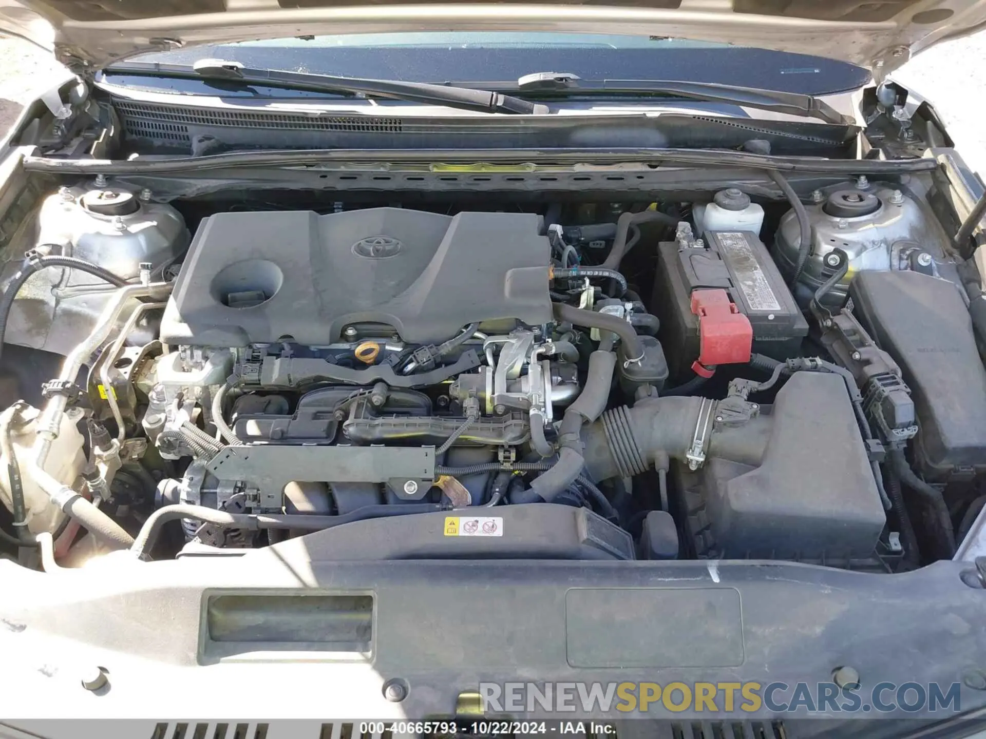 10 fotografías del automóvil dañado 4T1B11HK4KU852960 TOYOTA CAMRY 2019