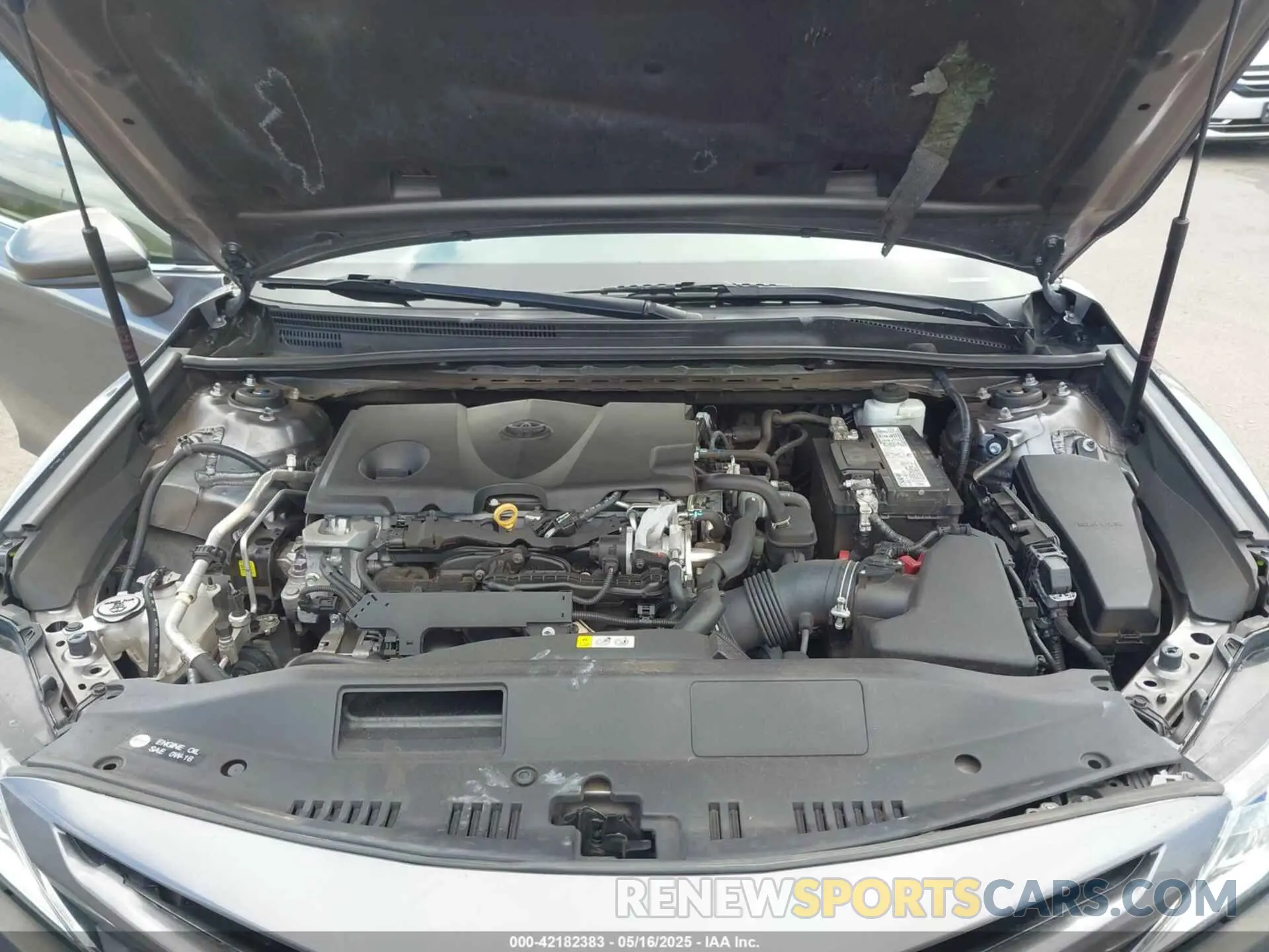 10 fotografías del automóvil dañado 4T1B11HK5KU165065 TOYOTA CAMRY 2019