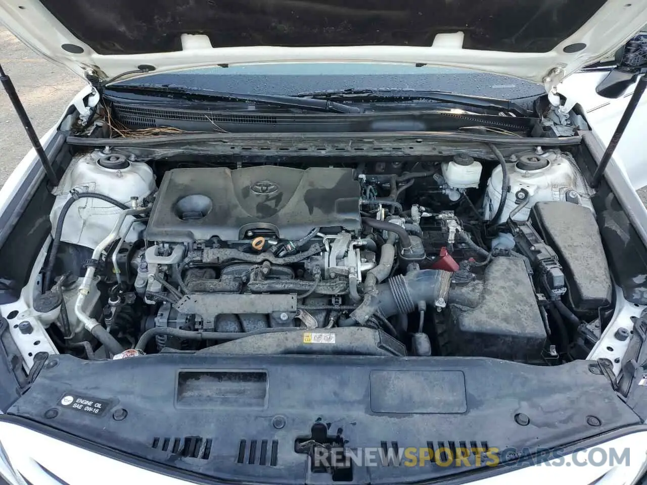 11 fotografías del automóvil dañado 4T1B11HK5KU172520 TOYOTA CAMRY 2019
