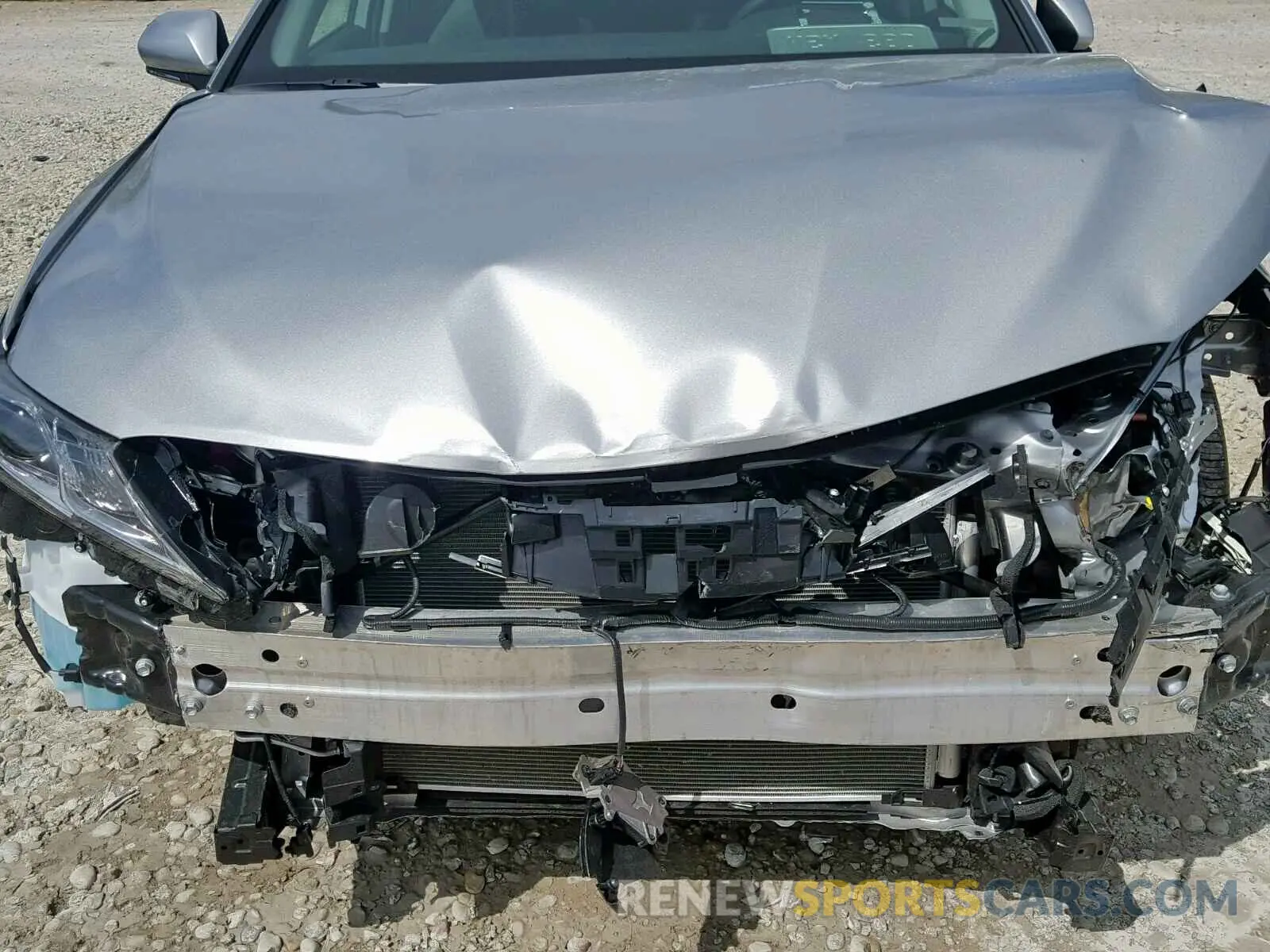 7 fotografías del automóvil dañado 4T1B11HK5KU178432 TOYOTA CAMRY 2019