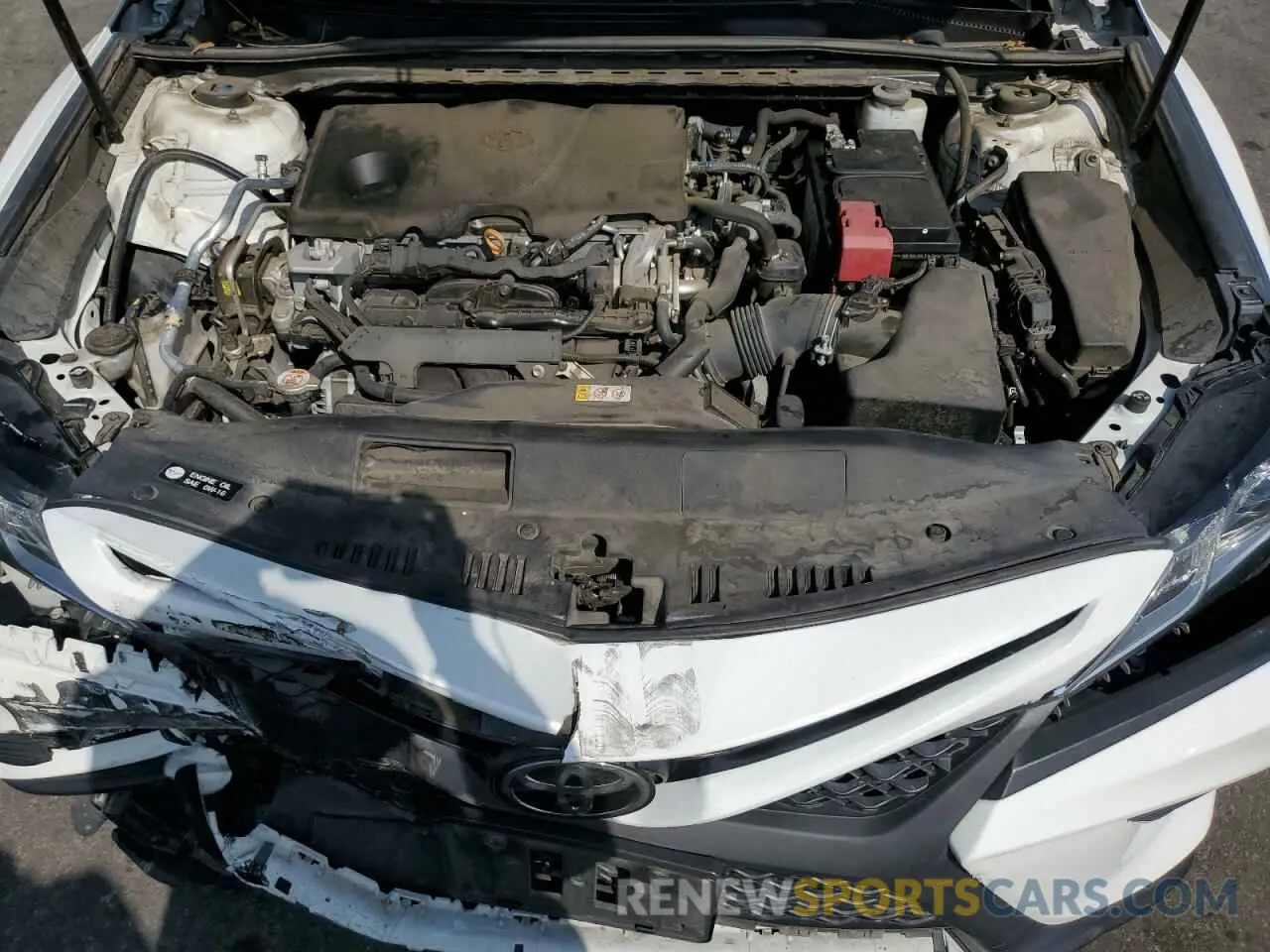 11 fotografías del automóvil dañado 4T1B11HK5KU186109 TOYOTA CAMRY 2019