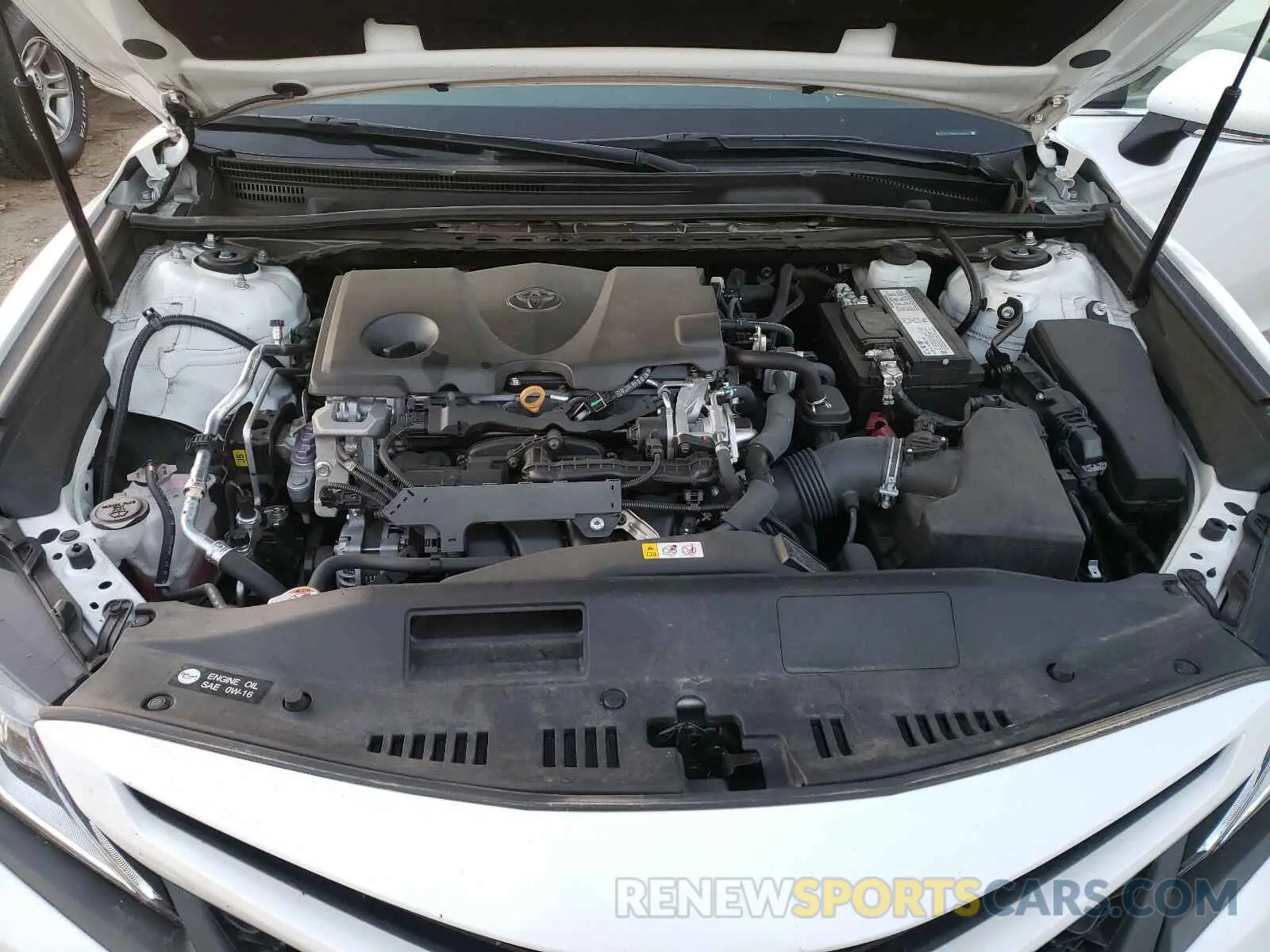 7 fotografías del automóvil dañado 4T1B11HK5KU188670 TOYOTA CAMRY 2019