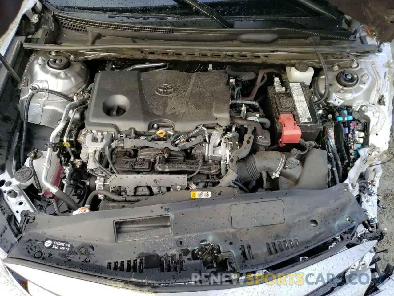 7 fotografías del automóvil dañado 4T1B11HK5KU199698 TOYOTA CAMRY 2019