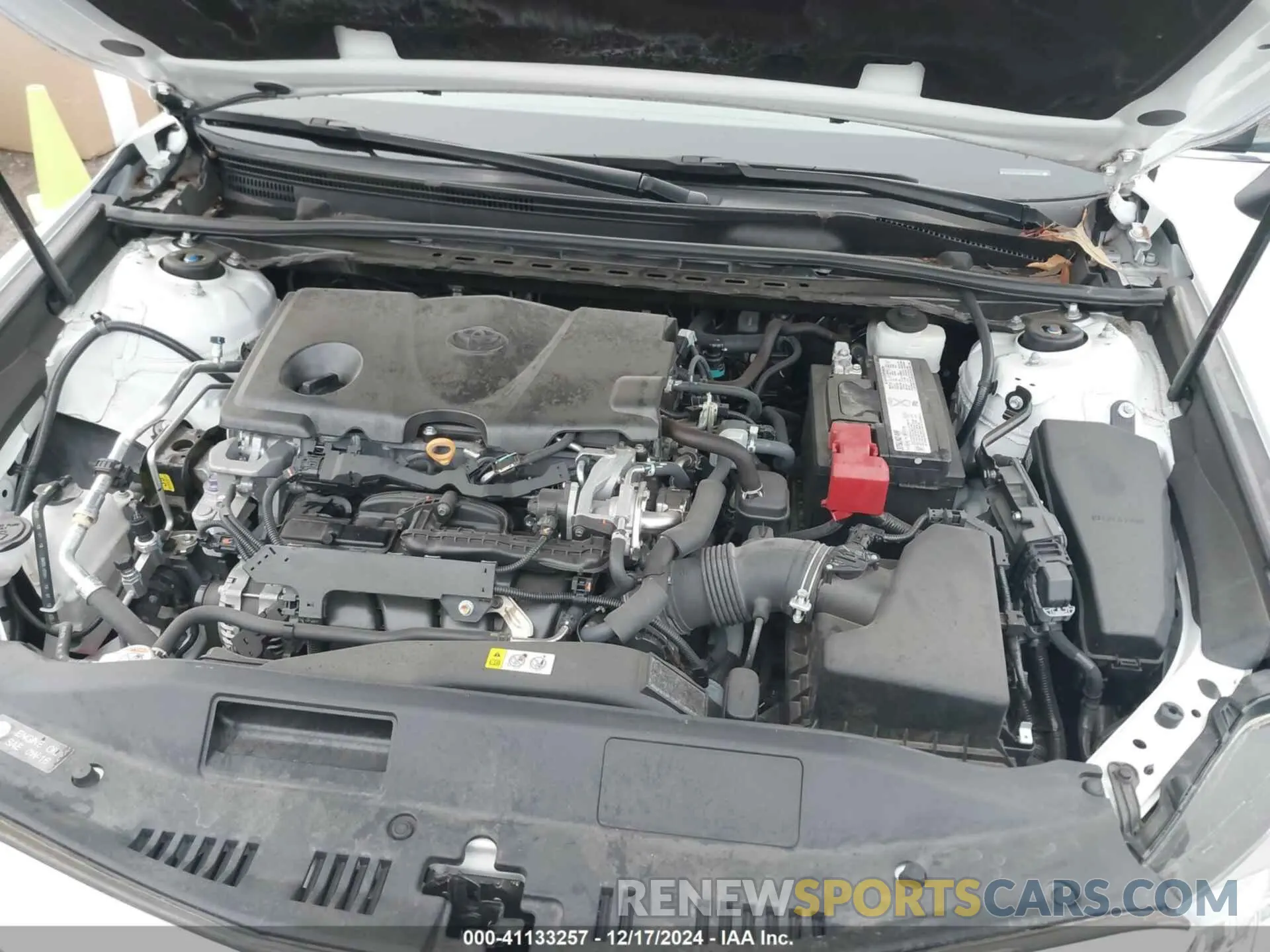 10 fotografías del automóvil dañado 4T1B11HK5KU199796 TOYOTA CAMRY 2019