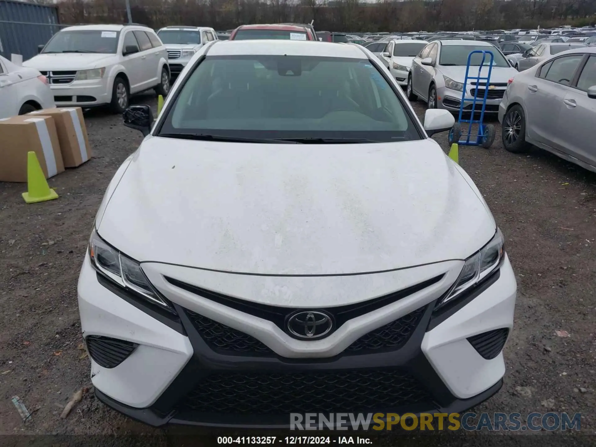 12 fotografías del automóvil dañado 4T1B11HK5KU199796 TOYOTA CAMRY 2019