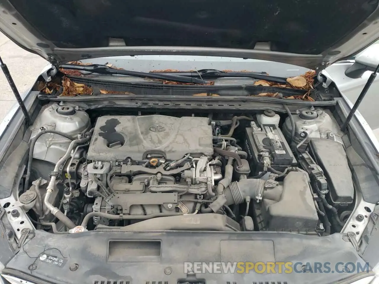 11 fotografías del automóvil dañado 4T1B11HK5KU200087 TOYOTA CAMRY 2019