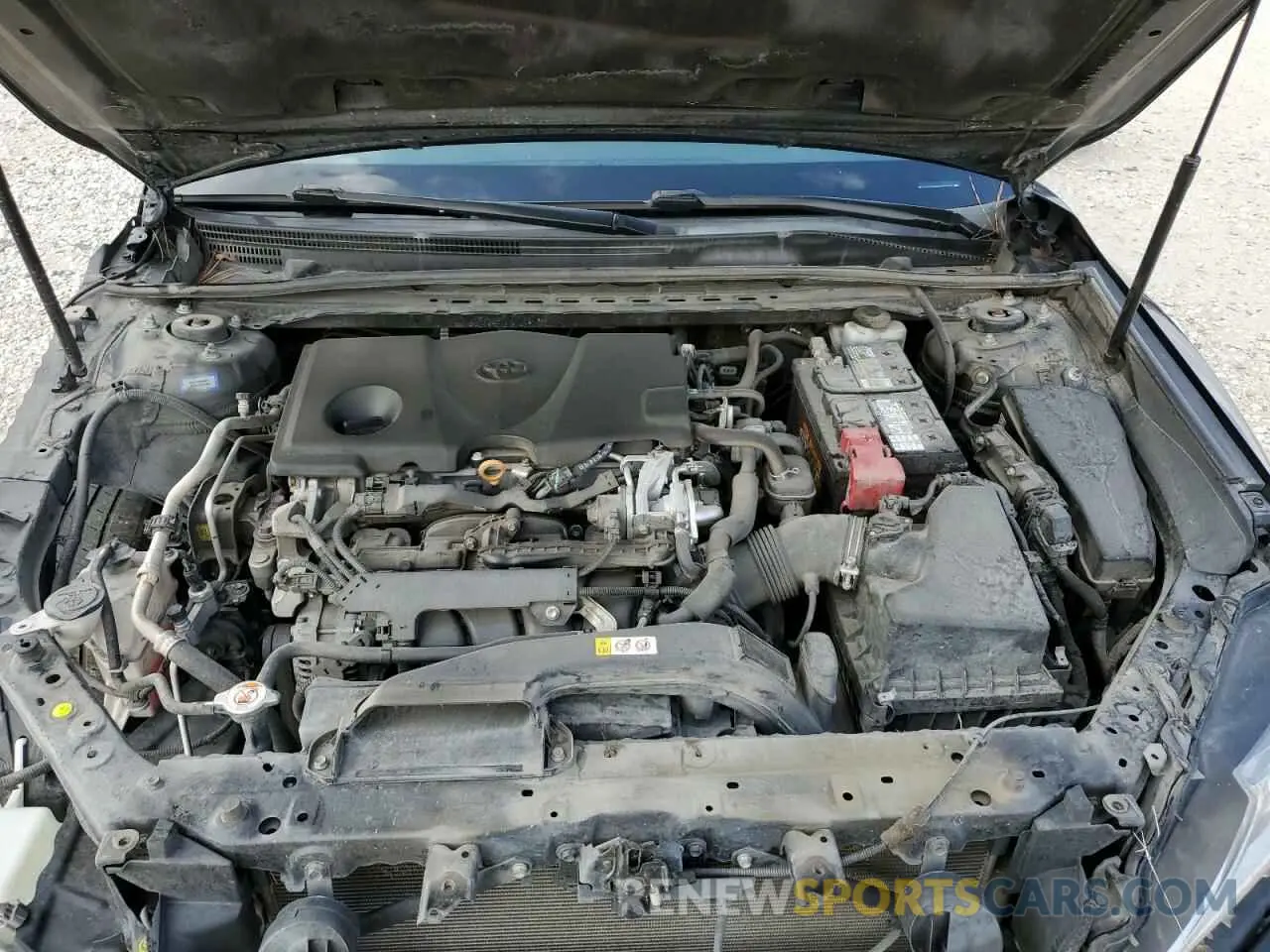 11 fotografías del automóvil dañado 4T1B11HK5KU200137 TOYOTA CAMRY 2019