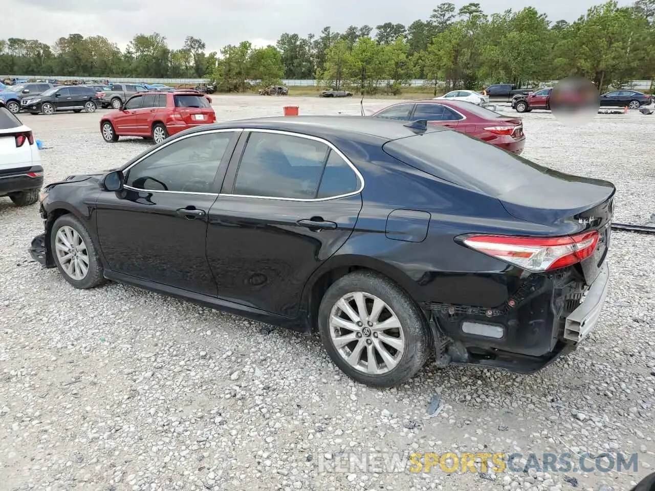 2 fotografías del automóvil dañado 4T1B11HK5KU200137 TOYOTA CAMRY 2019