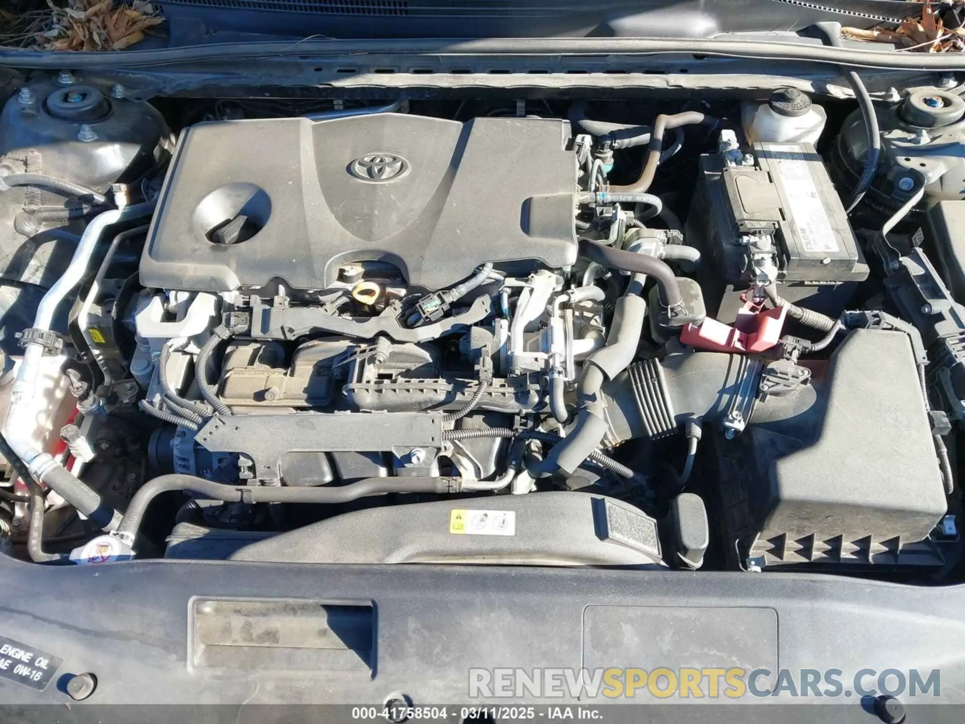10 fotografías del automóvil dañado 4T1B11HK5KU201997 TOYOTA CAMRY 2019