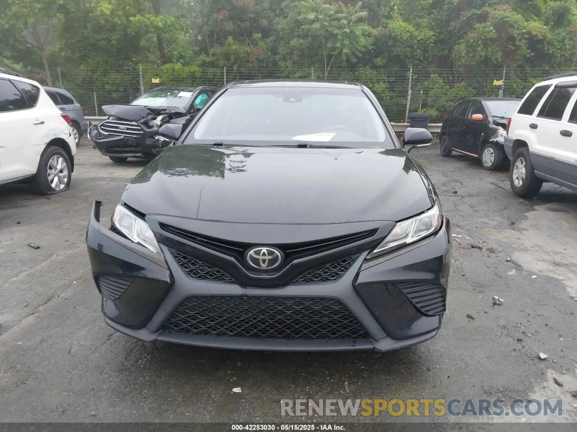 12 fotografías del automóvil dañado 4T1B11HK5KU212868 TOYOTA CAMRY 2019