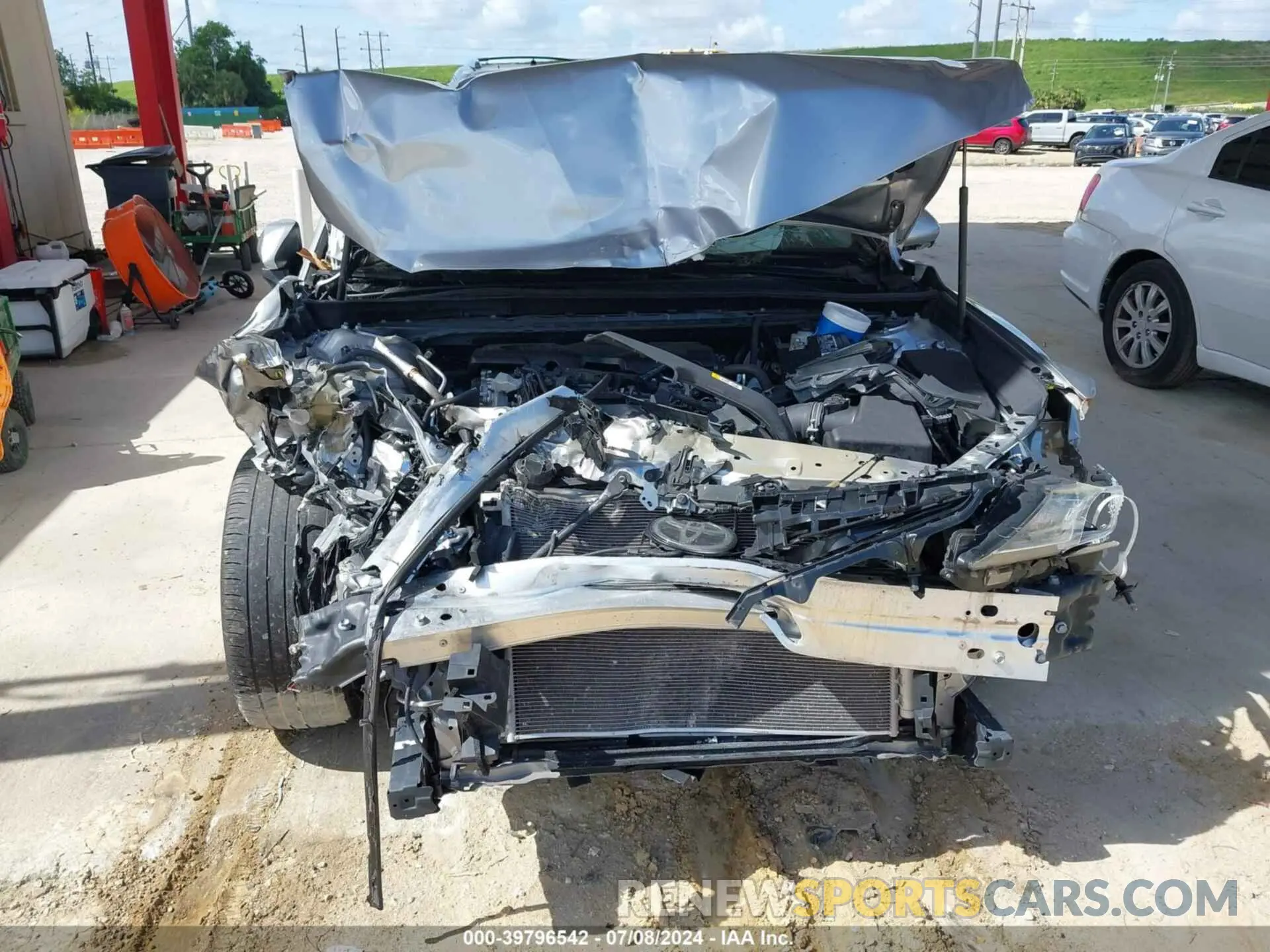 6 fotografías del automóvil dañado 4T1B11HK5KU214345 TOYOTA CAMRY 2019