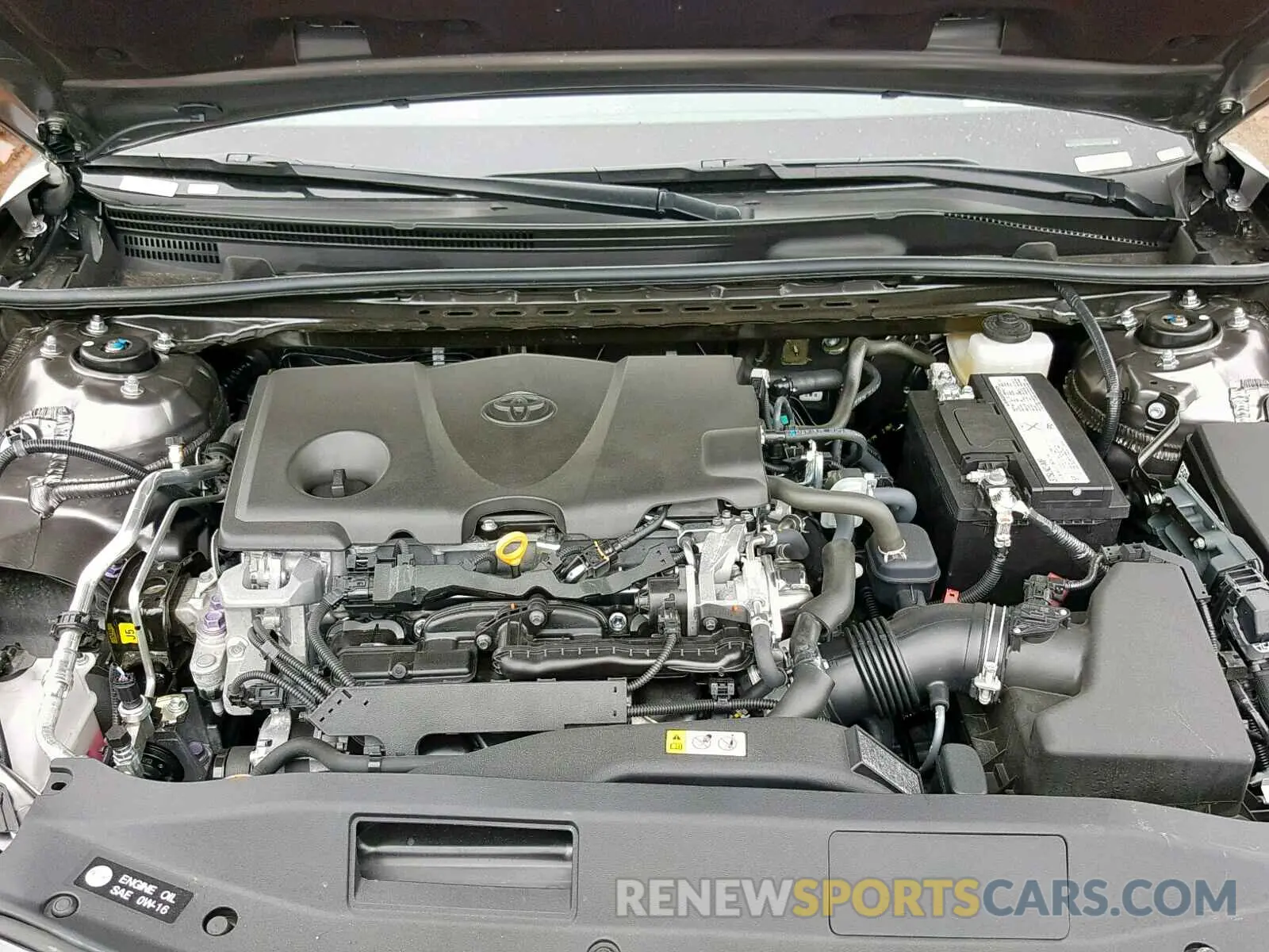 7 fotografías del automóvil dañado 4T1B11HK5KU226737 TOYOTA CAMRY 2019