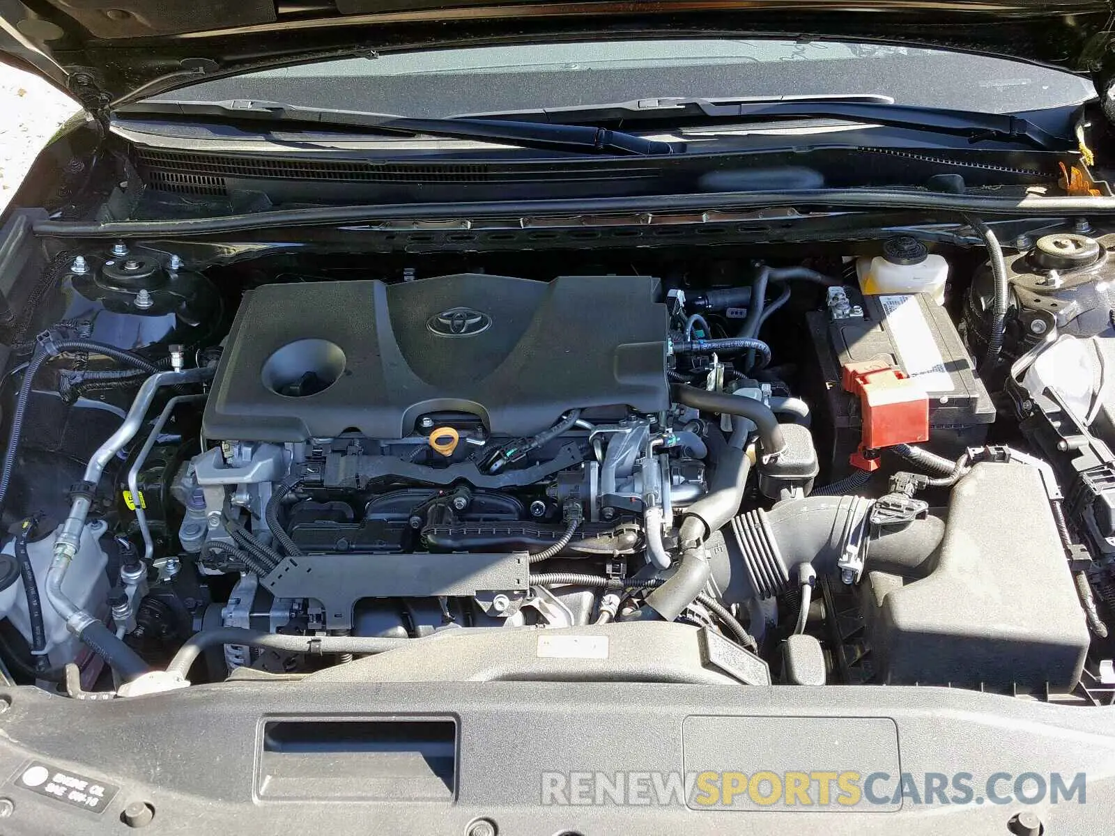 7 fotografías del automóvil dañado 4T1B11HK5KU255705 TOYOTA CAMRY 2019