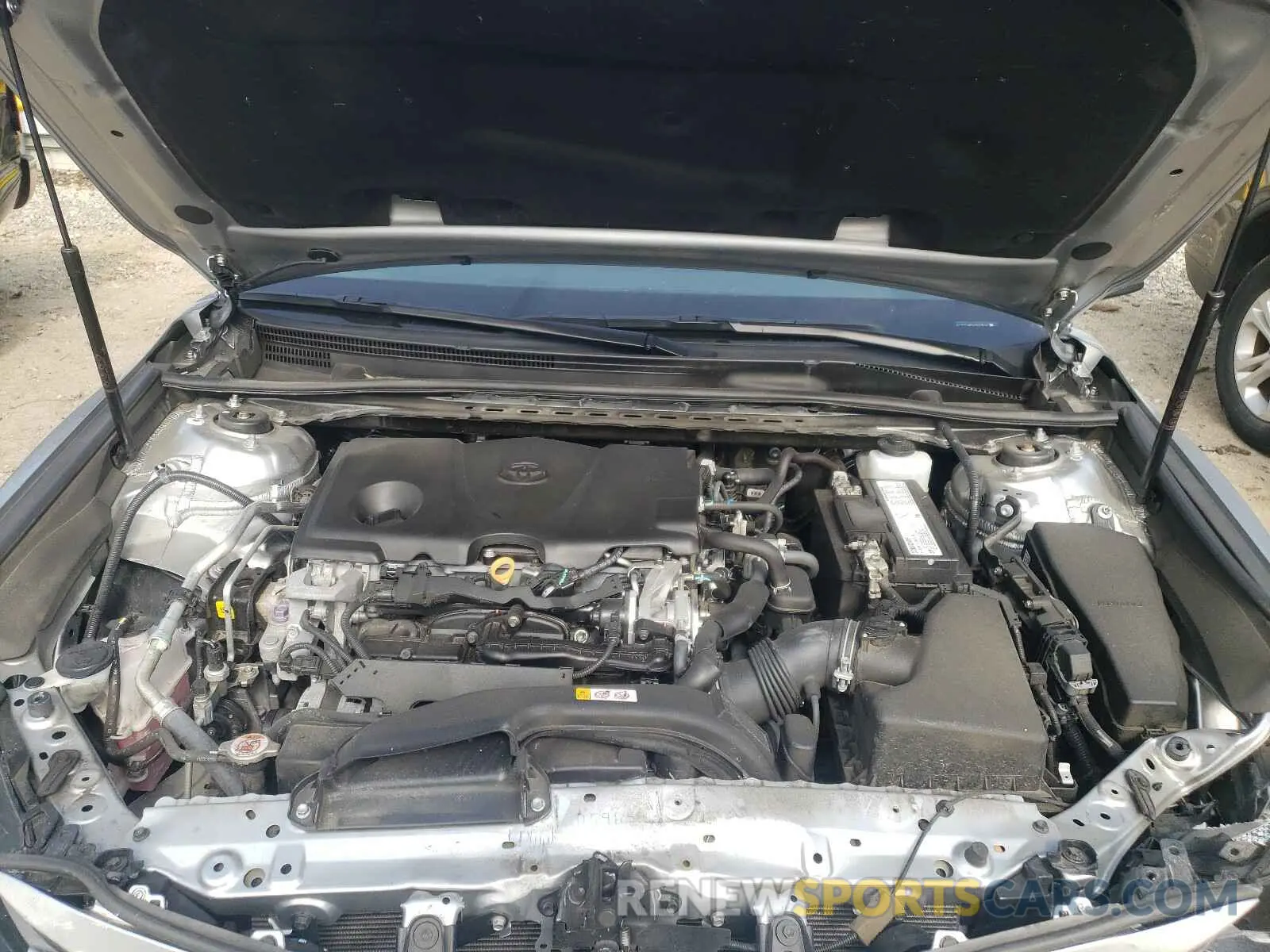 7 fotografías del automóvil dañado 4T1B11HK5KU257812 TOYOTA CAMRY 2019