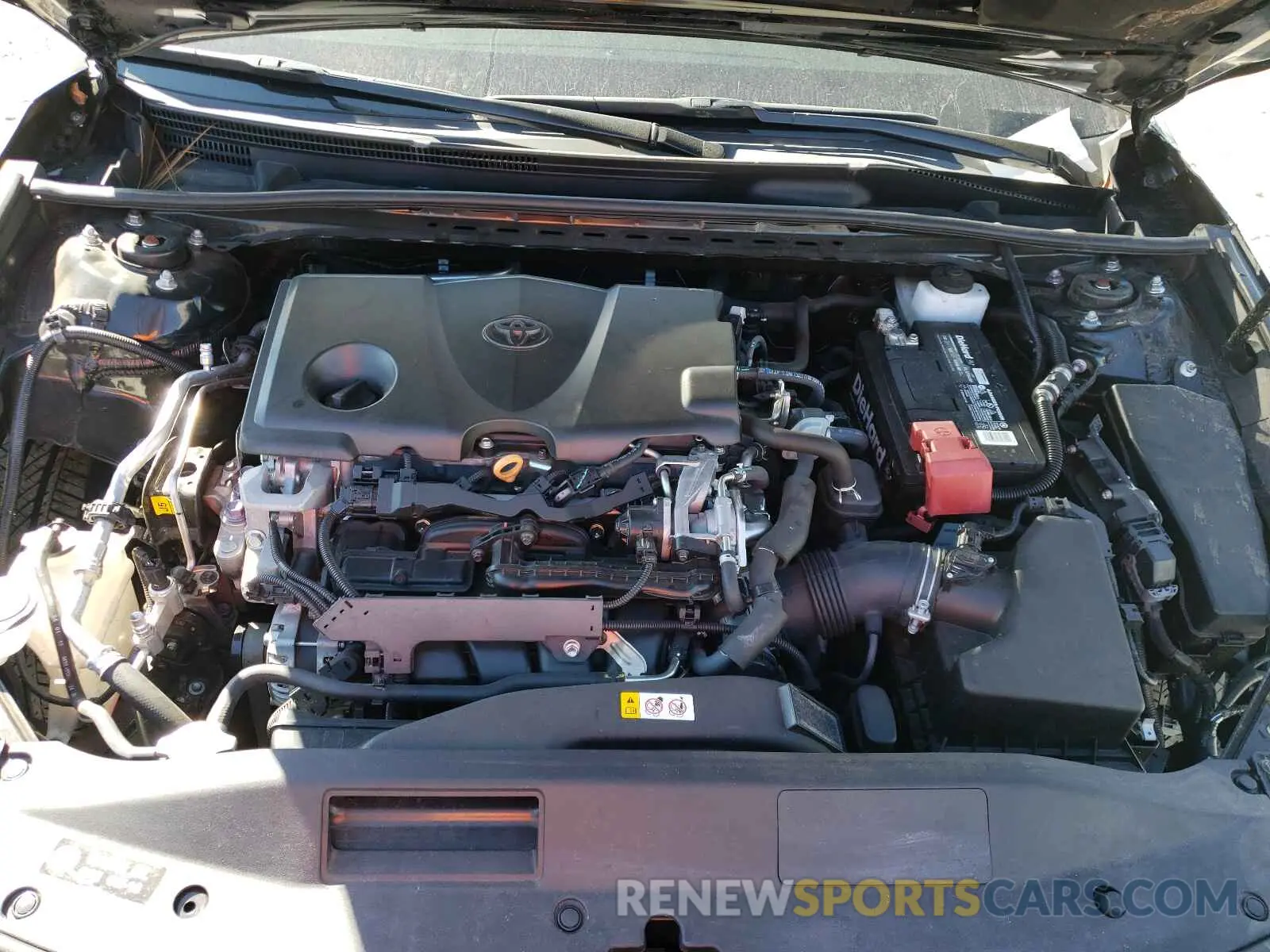 7 fotografías del automóvil dañado 4T1B11HK5KU270981 TOYOTA CAMRY 2019