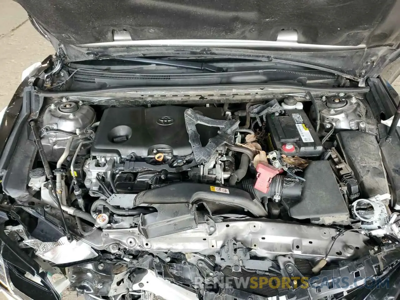 11 fotografías del automóvil dañado 4T1B11HK5KU278417 TOYOTA CAMRY 2019