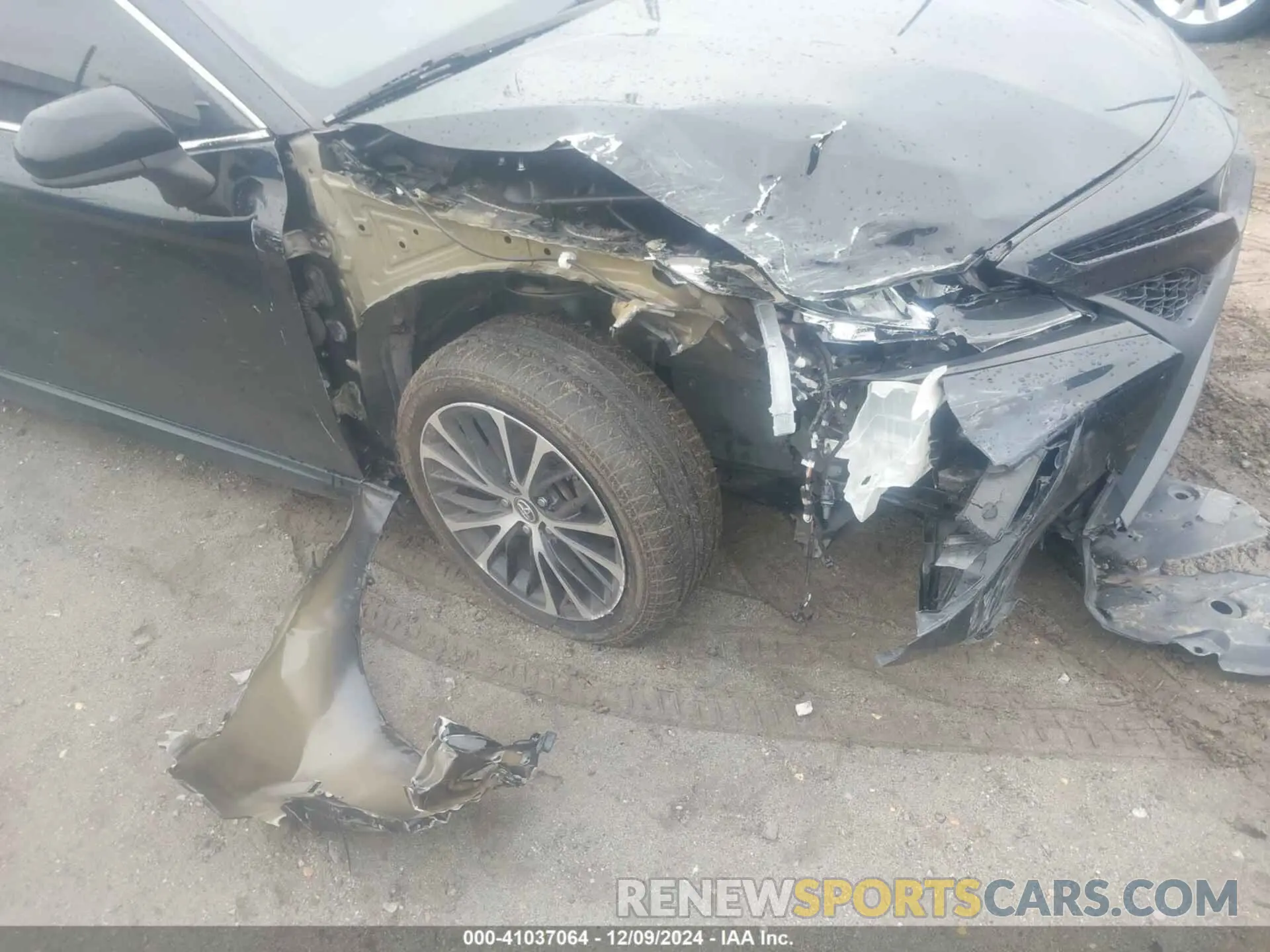 6 fotografías del automóvil dañado 4T1B11HK5KU282774 TOYOTA CAMRY 2019