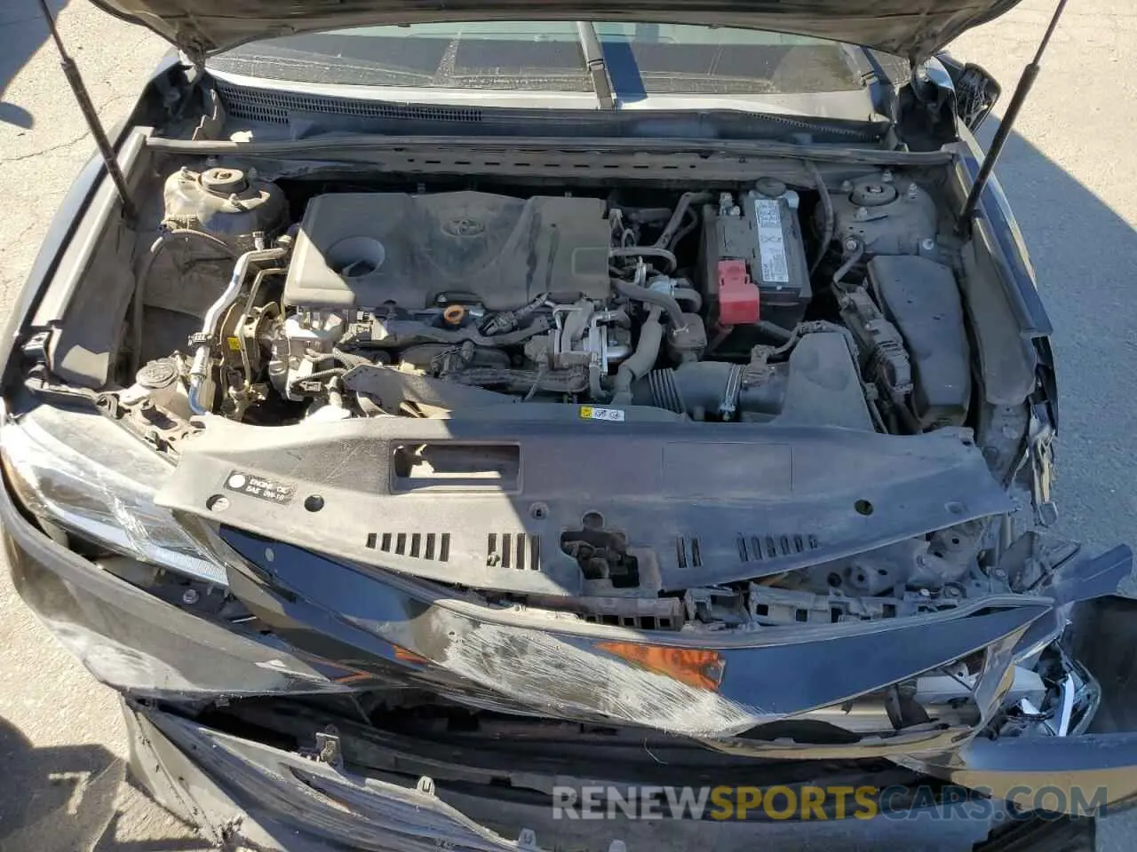 11 fotografías del automóvil dañado 4T1B11HK5KU289711 TOYOTA CAMRY 2019