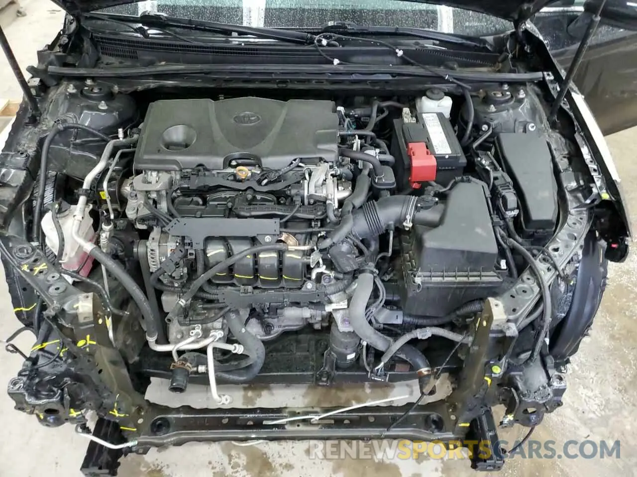 11 fotografías del automóvil dañado 4T1B11HK5KU681135 TOYOTA CAMRY 2019