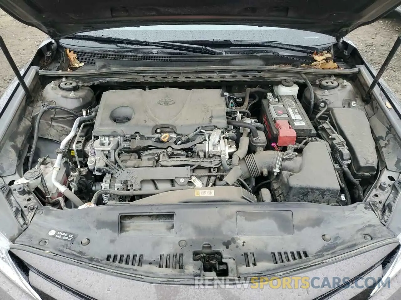 11 fotografías del automóvil dañado 4T1B11HK5KU687842 TOYOTA CAMRY 2019