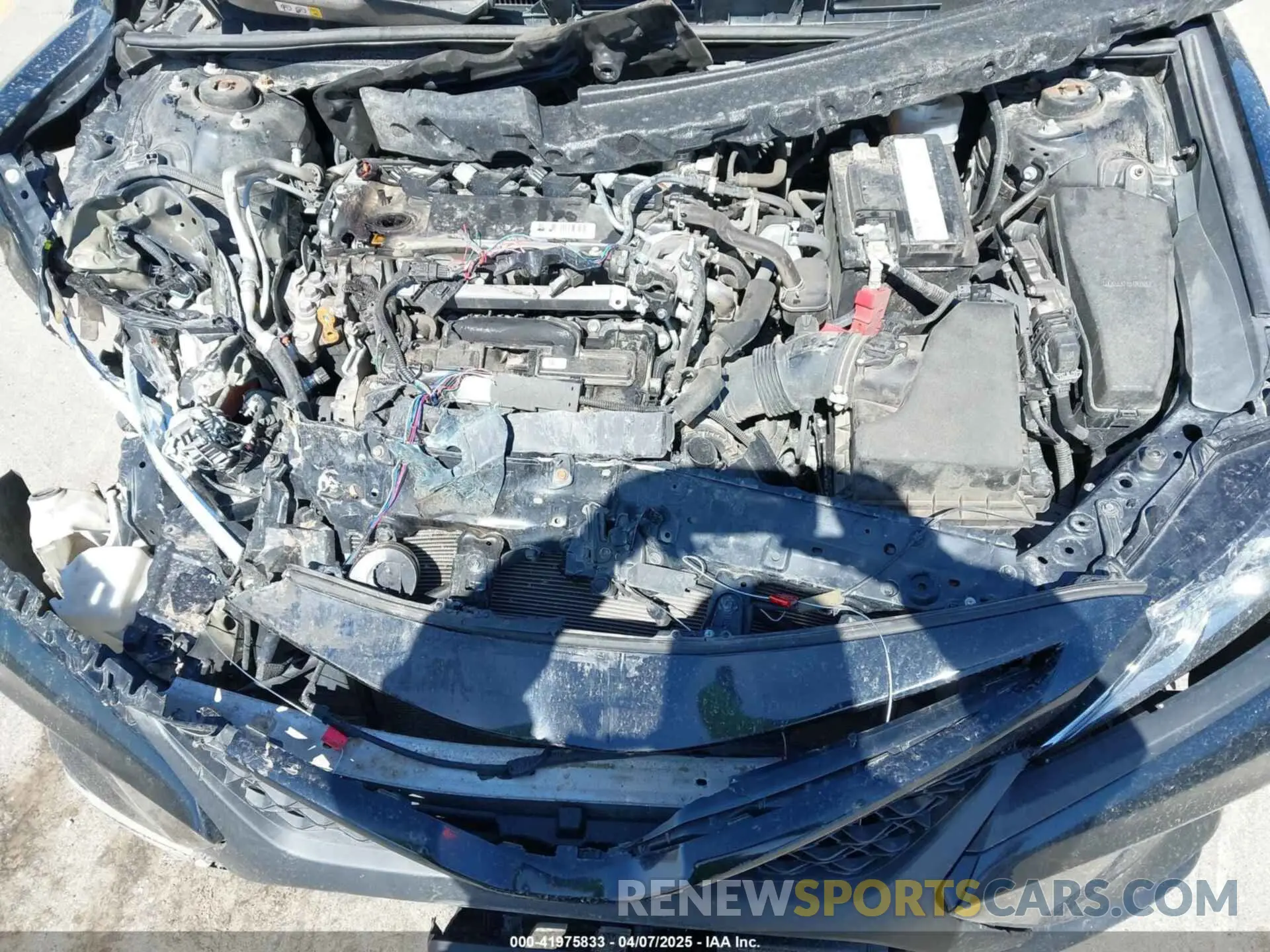 10 fotografías del automóvil dañado 4T1B11HK5KU689882 TOYOTA CAMRY 2019