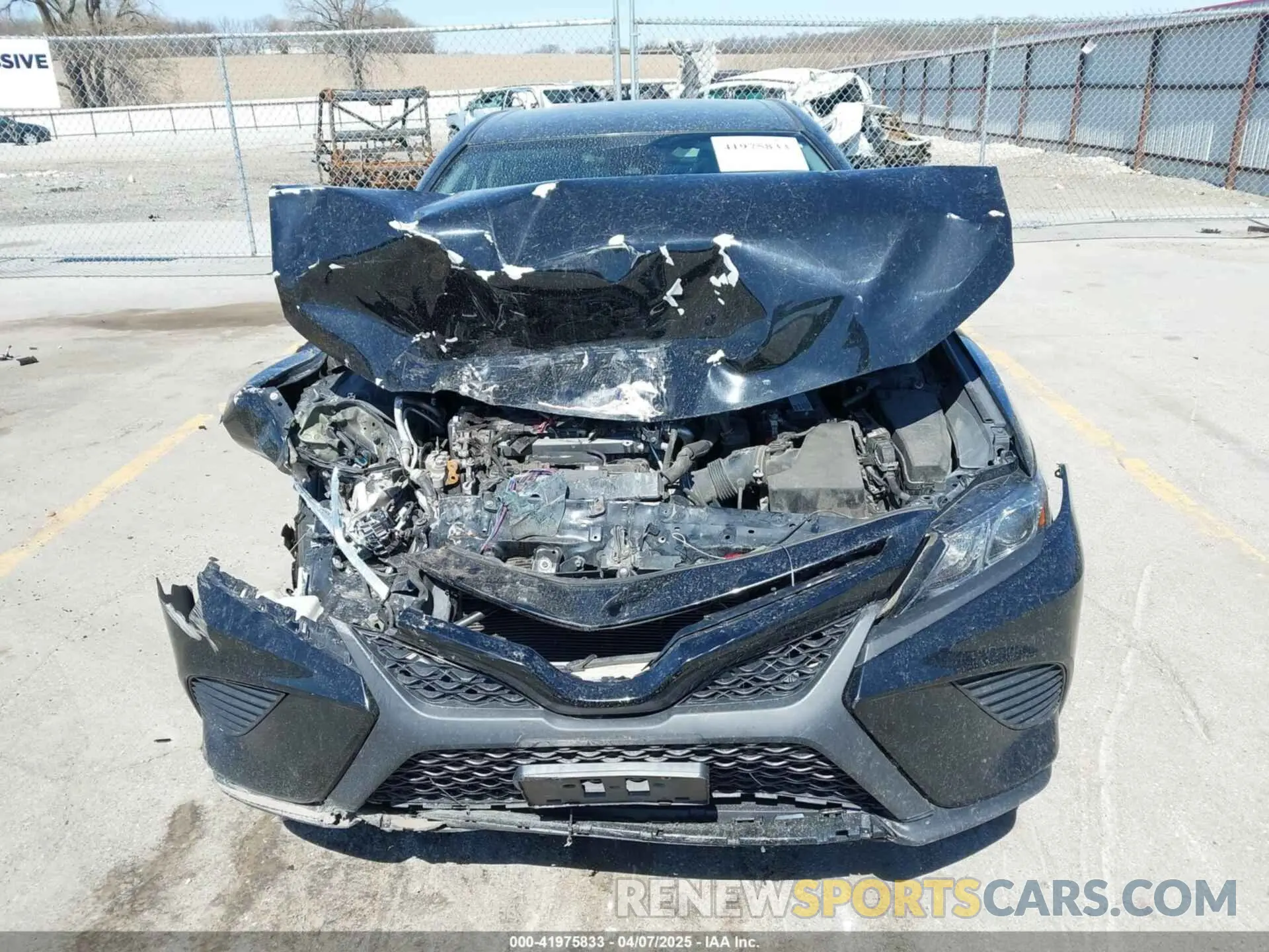 12 fotografías del automóvil dañado 4T1B11HK5KU689882 TOYOTA CAMRY 2019
