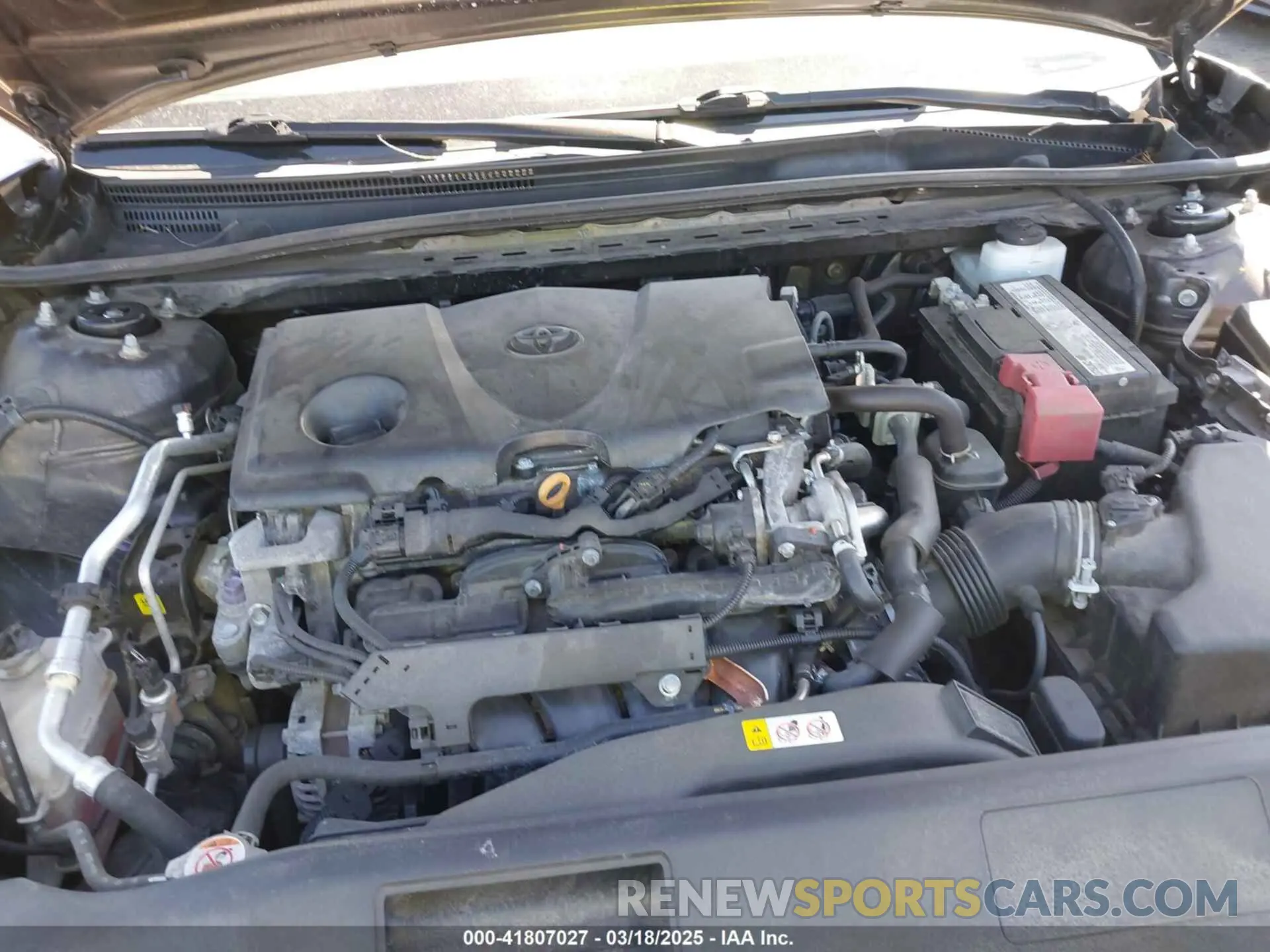 10 fotografías del automóvil dañado 4T1B11HK5KU692717 TOYOTA CAMRY 2019