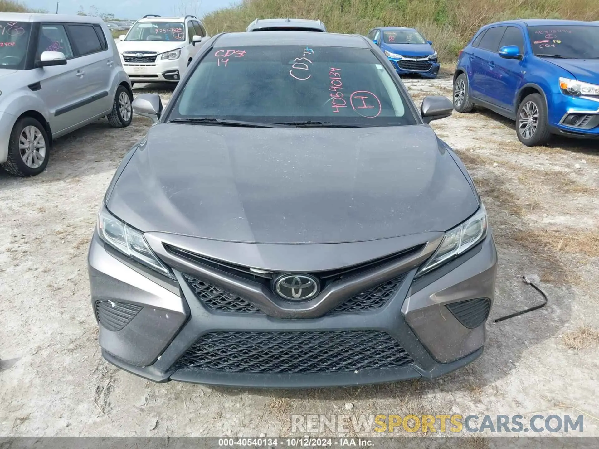 11 fotografías del automóvil dañado 4T1B11HK5KU700024 TOYOTA CAMRY 2019