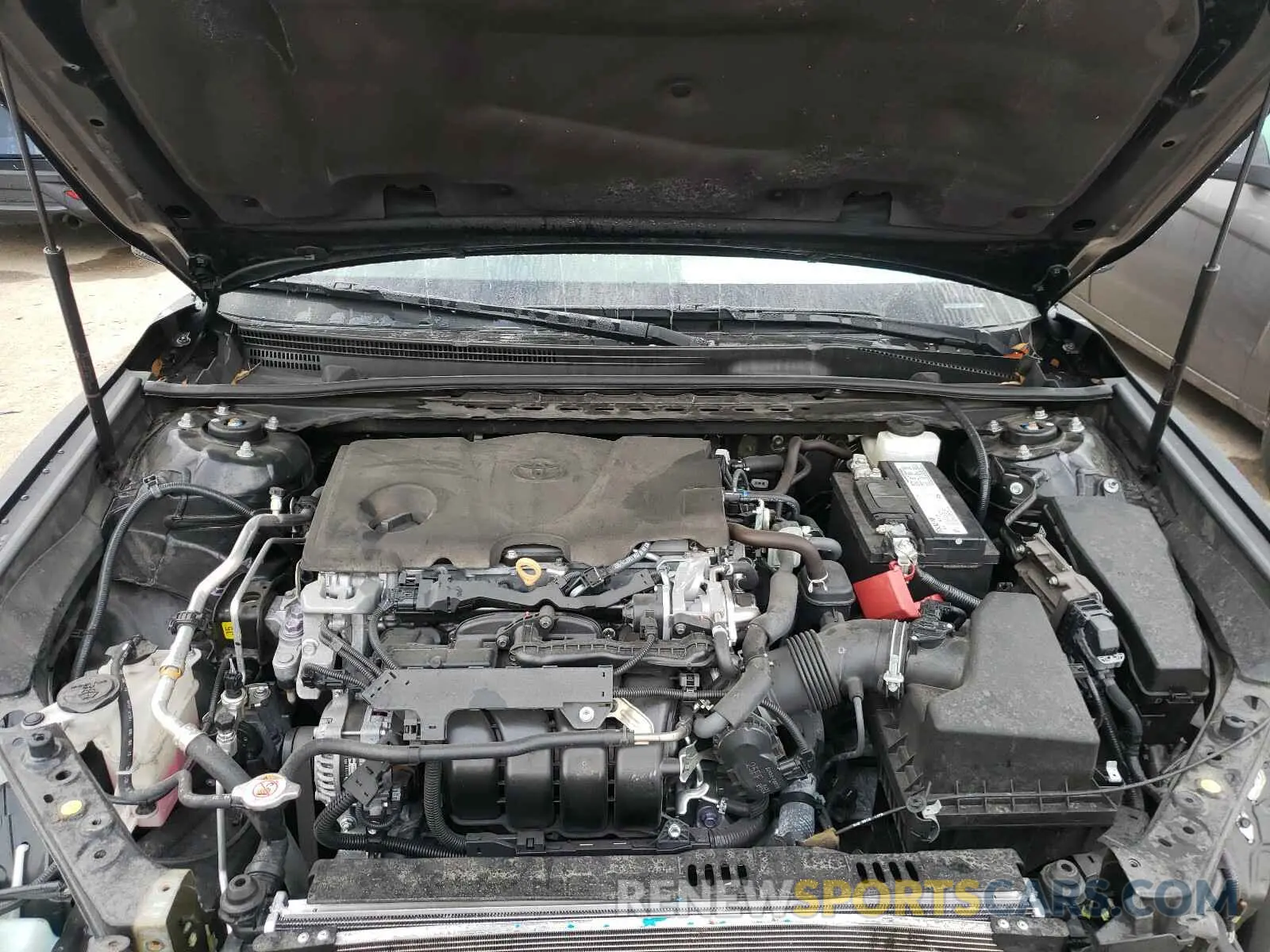 7 fotografías del automóvil dañado 4T1B11HK5KU710438 TOYOTA CAMRY 2019
