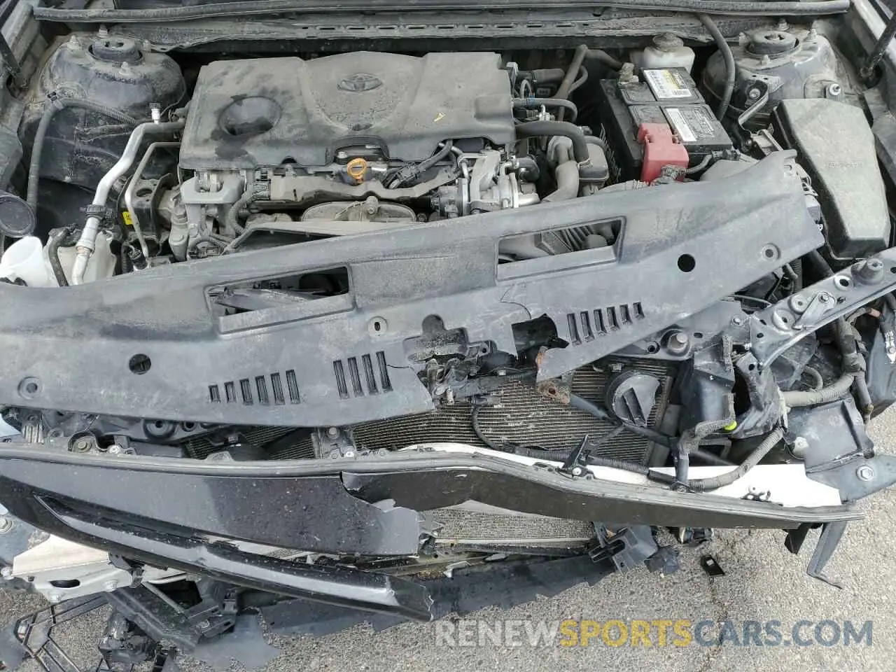 11 fotografías del automóvil dañado 4T1B11HK5KU721262 TOYOTA CAMRY 2019