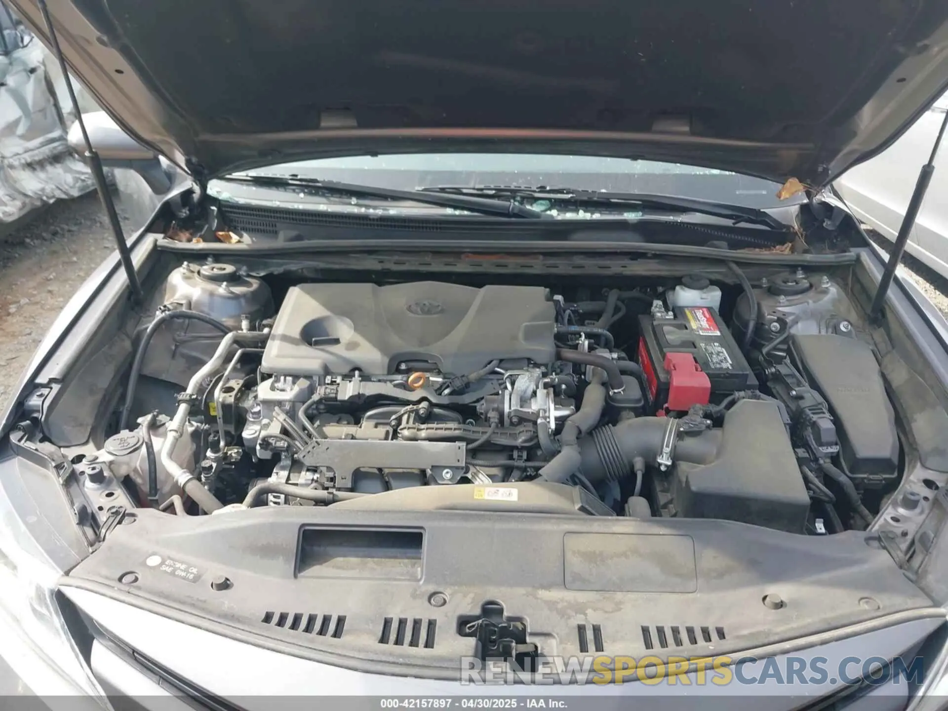 10 fotografías del automóvil dañado 4T1B11HK5KU762586 TOYOTA CAMRY 2019